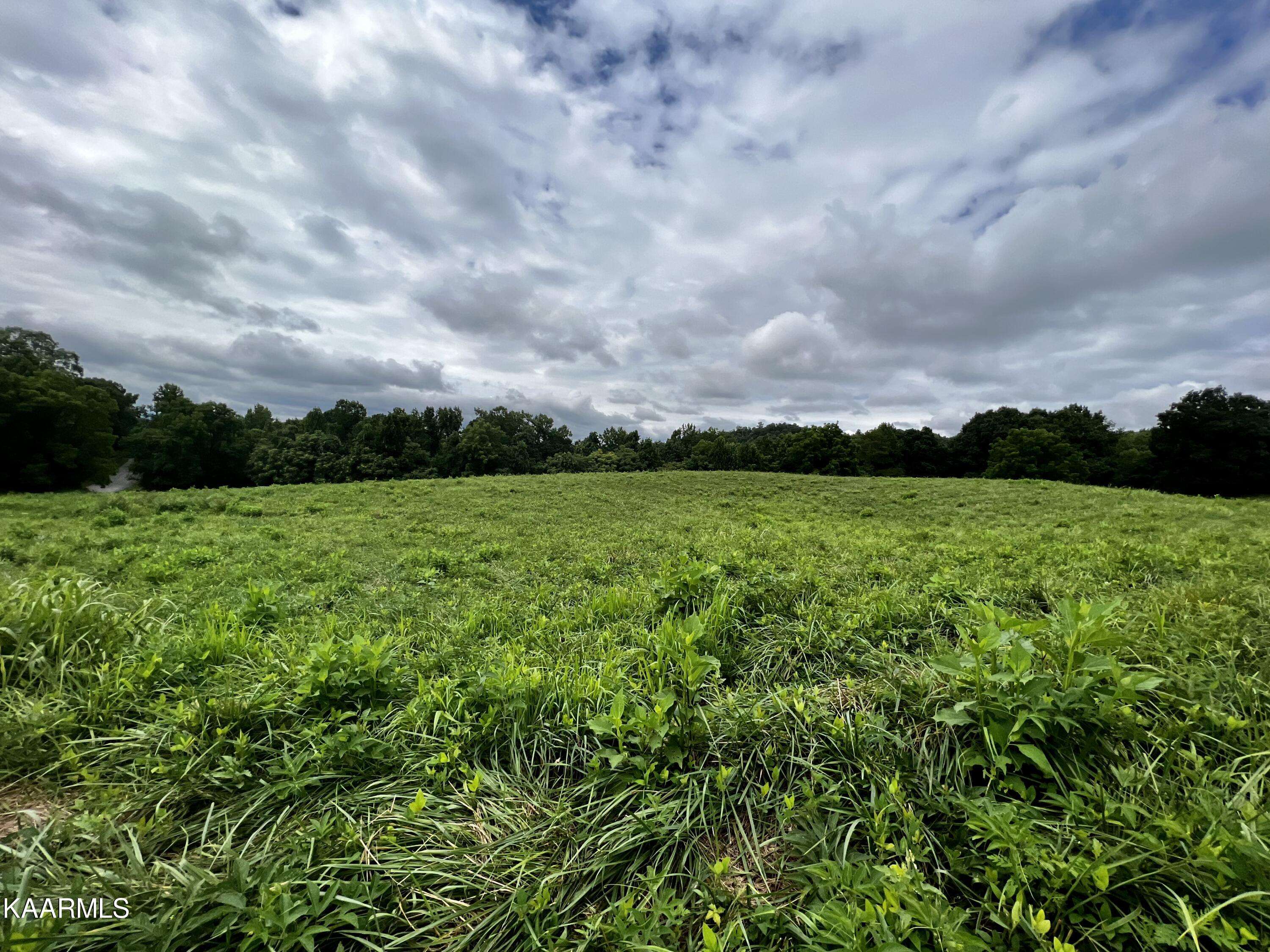 New Tazewell, TN 37825,Lot 133 Cinnabar DR