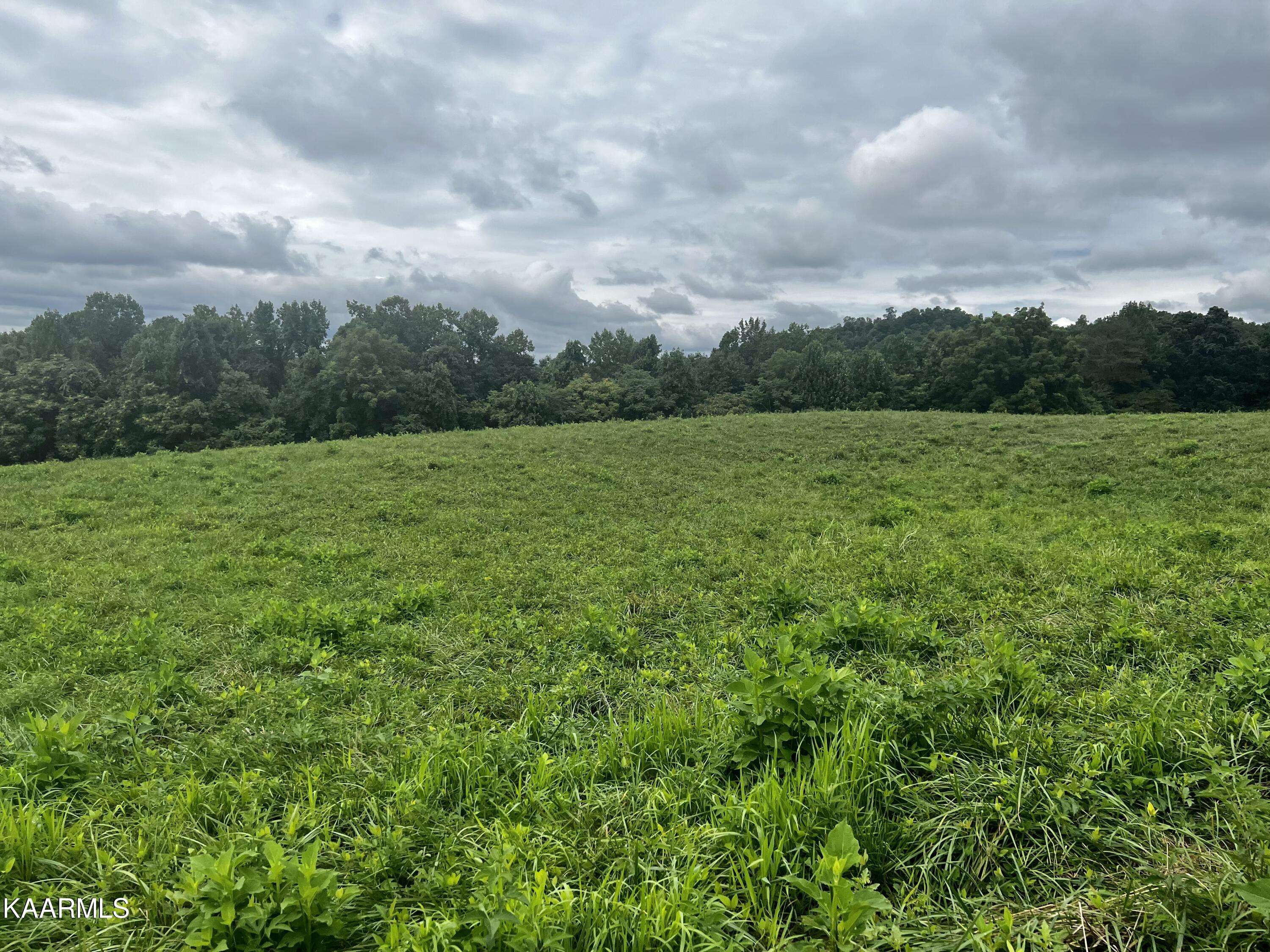 New Tazewell, TN 37825,Lot 133 Cinnabar DR