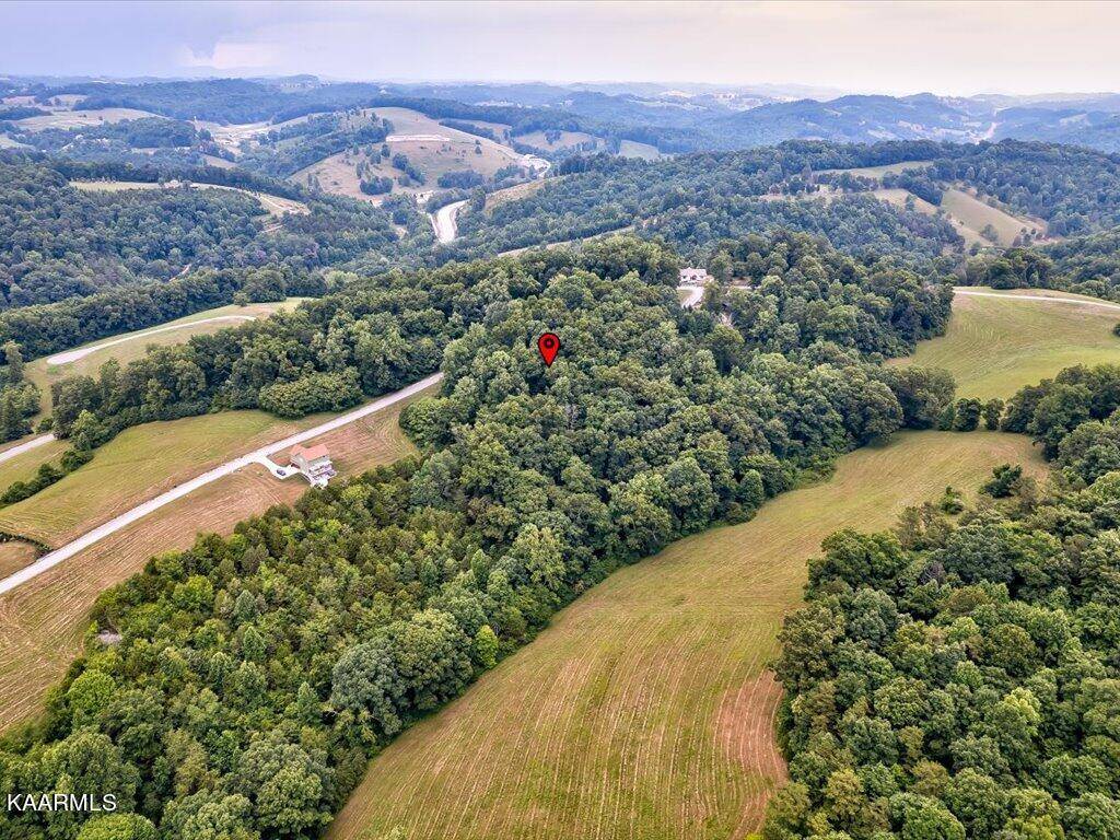 New Tazewell, TN 37825,Lot 72 Larimar LN