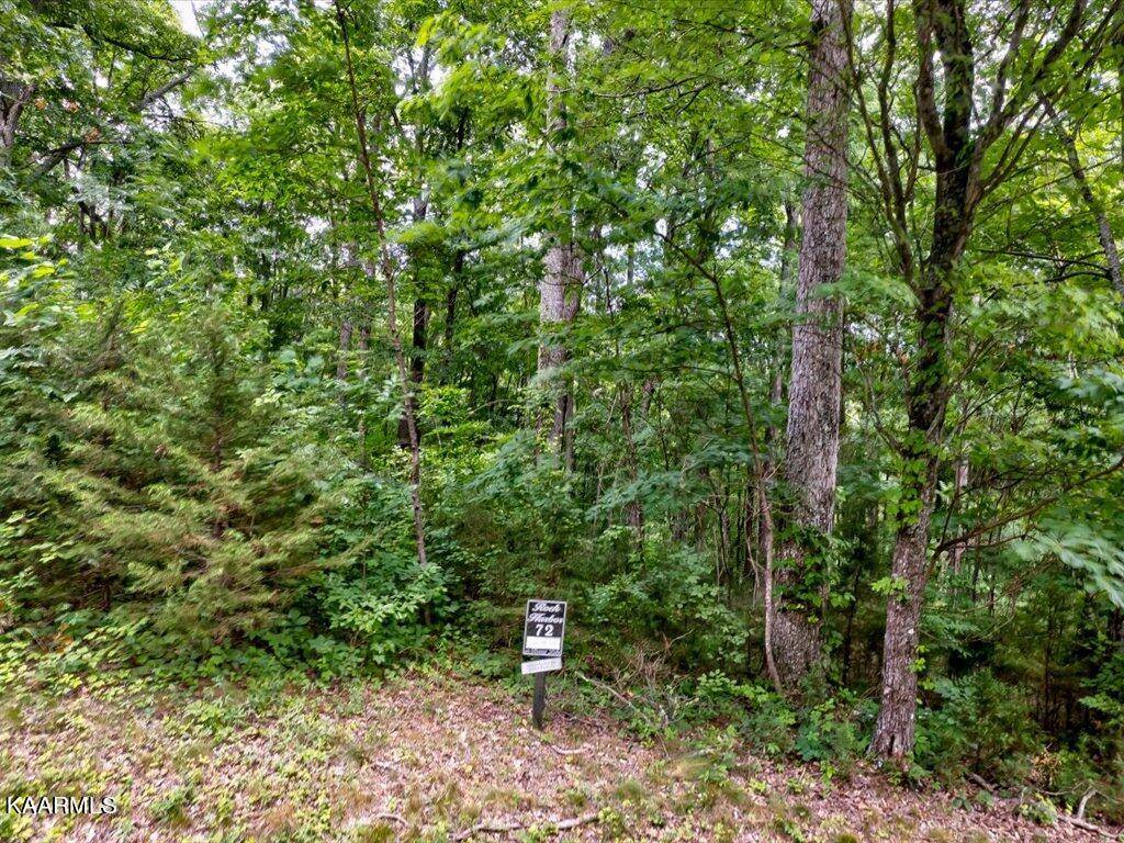 New Tazewell, TN 37825,Lot 72 Larimar LN