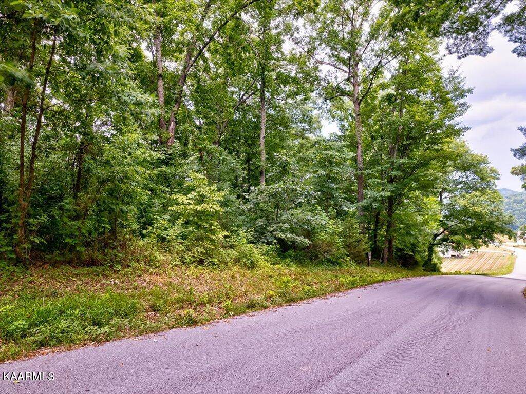 New Tazewell, TN 37825,Lot 72 Larimar LN