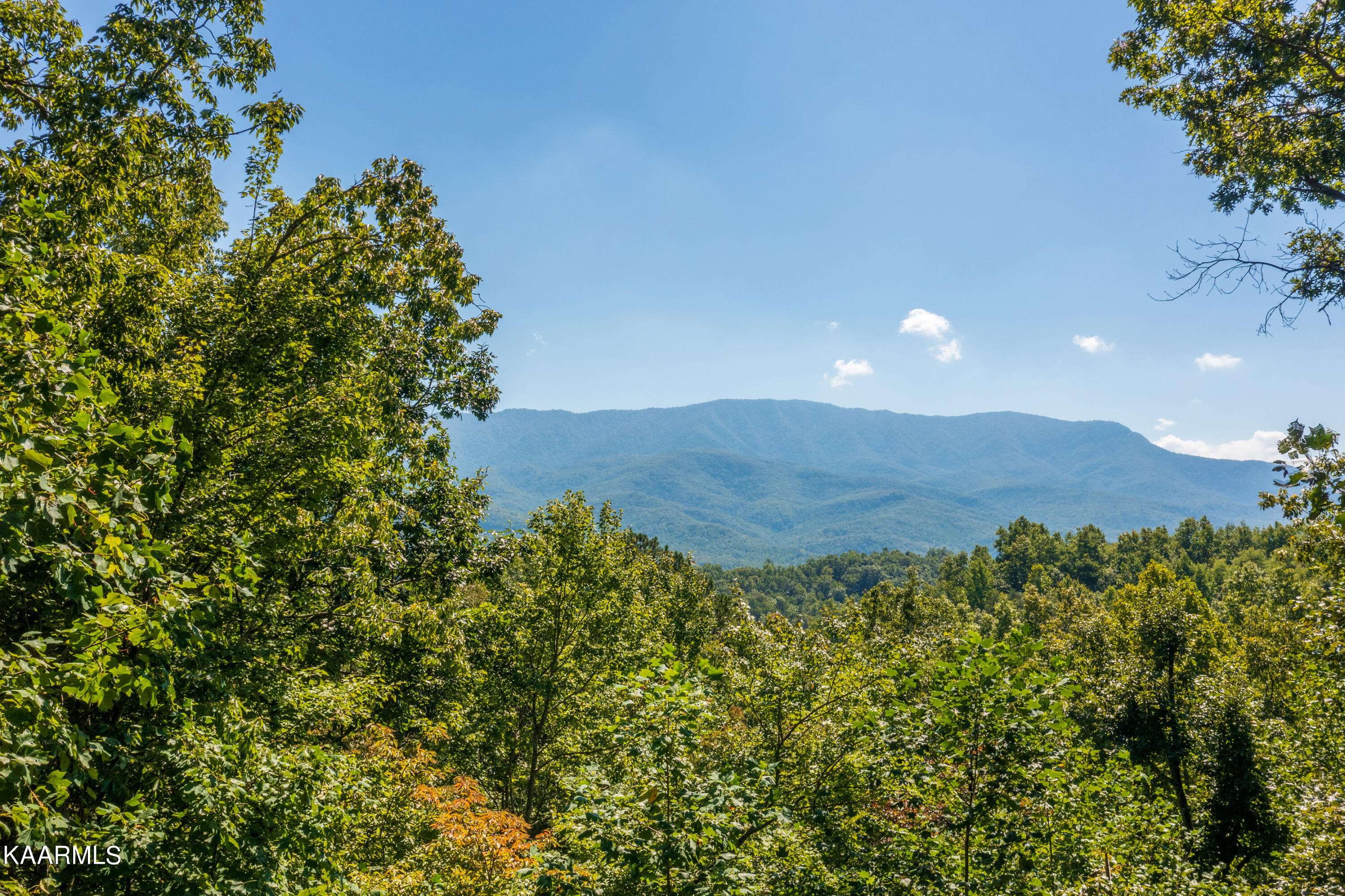 Gatlinburg, TN 37738,945 Scenic Tr