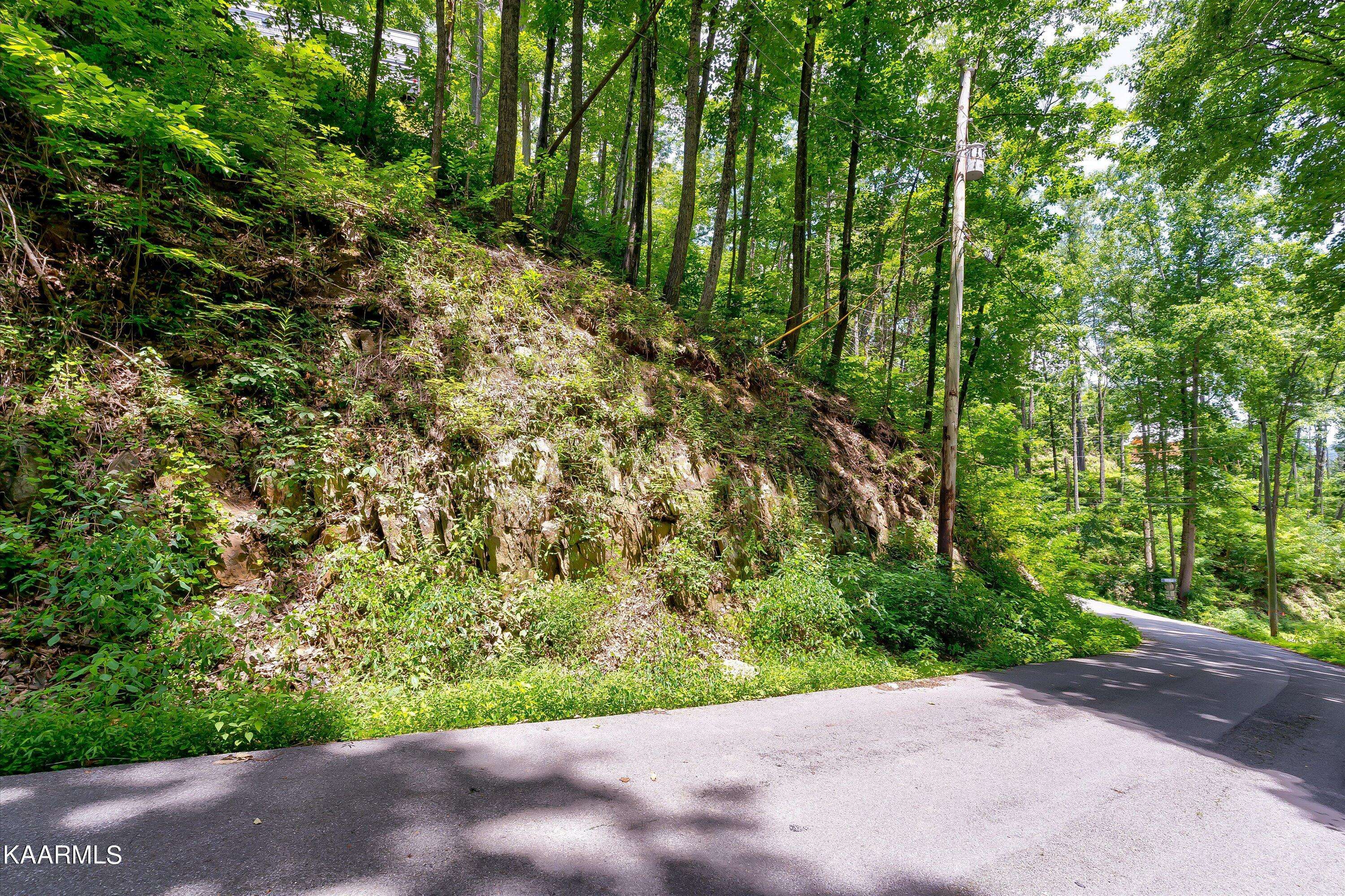 Gatlinburg, TN 37738,Lot 510 Crooked Ridge Rd