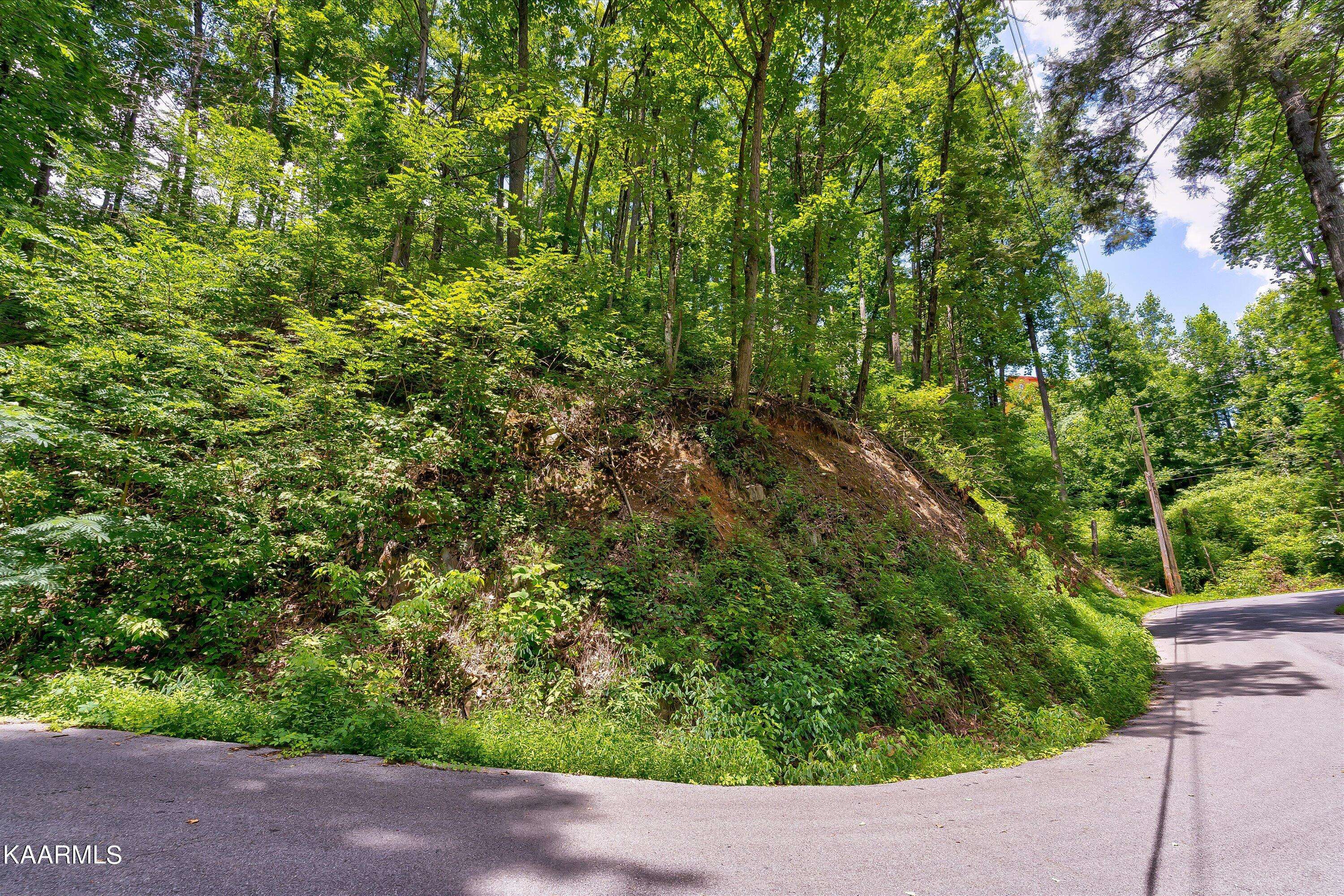 Gatlinburg, TN 37738,Lot 510 Crooked Ridge Rd