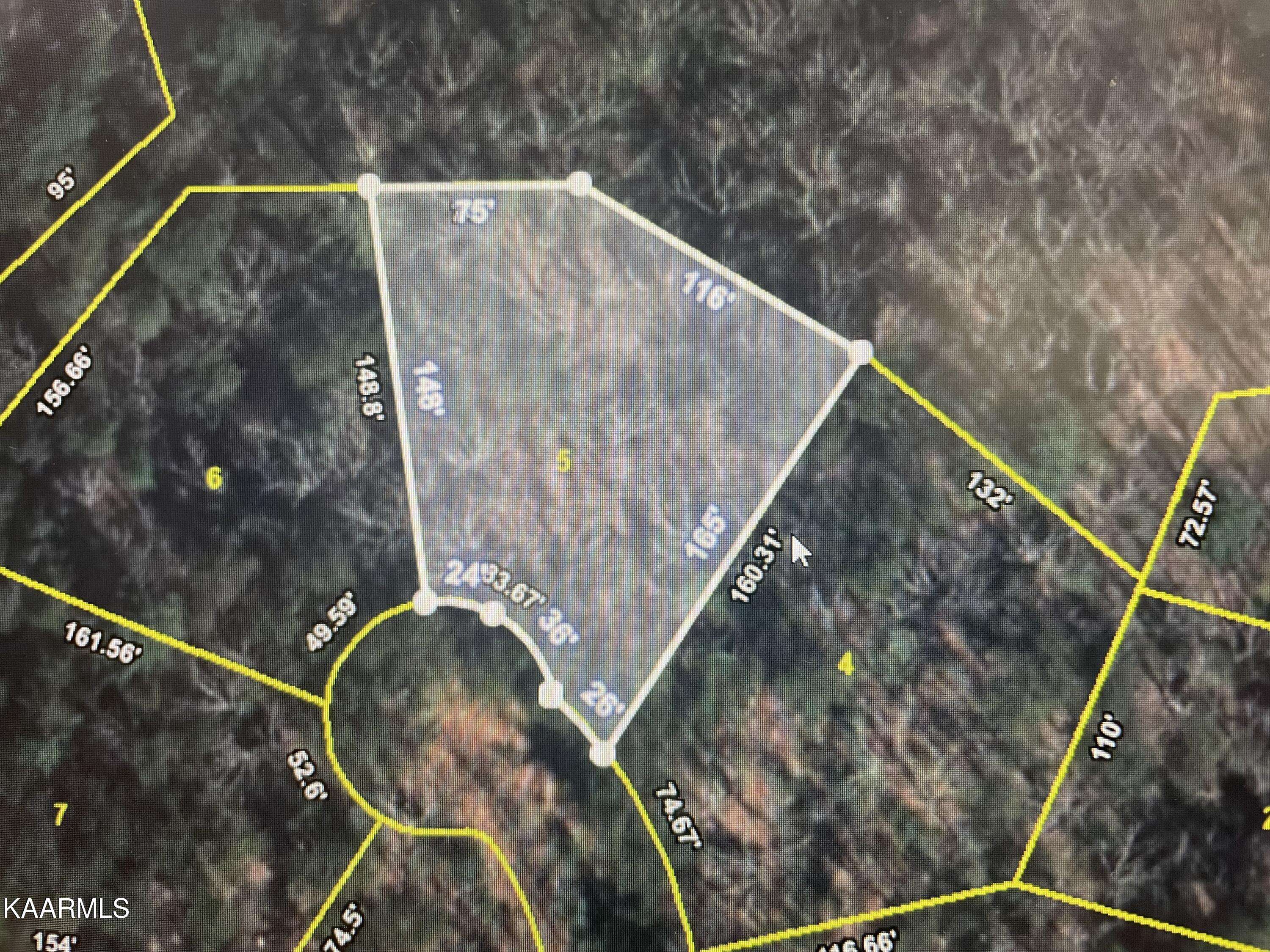 Sevierville, TN 37876,Lot 5 Fir CT