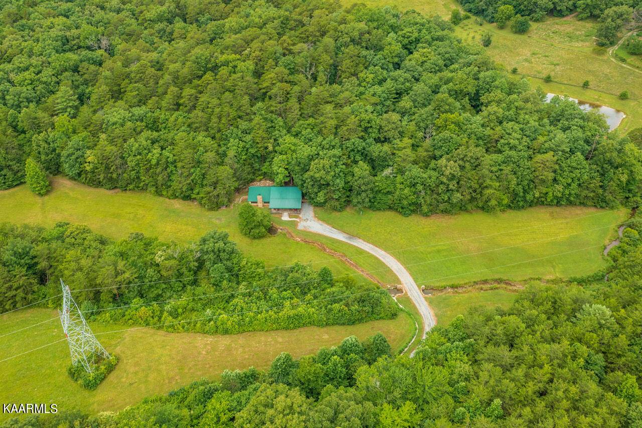 Tellico Plains, TN 37385,12044 Highway 68