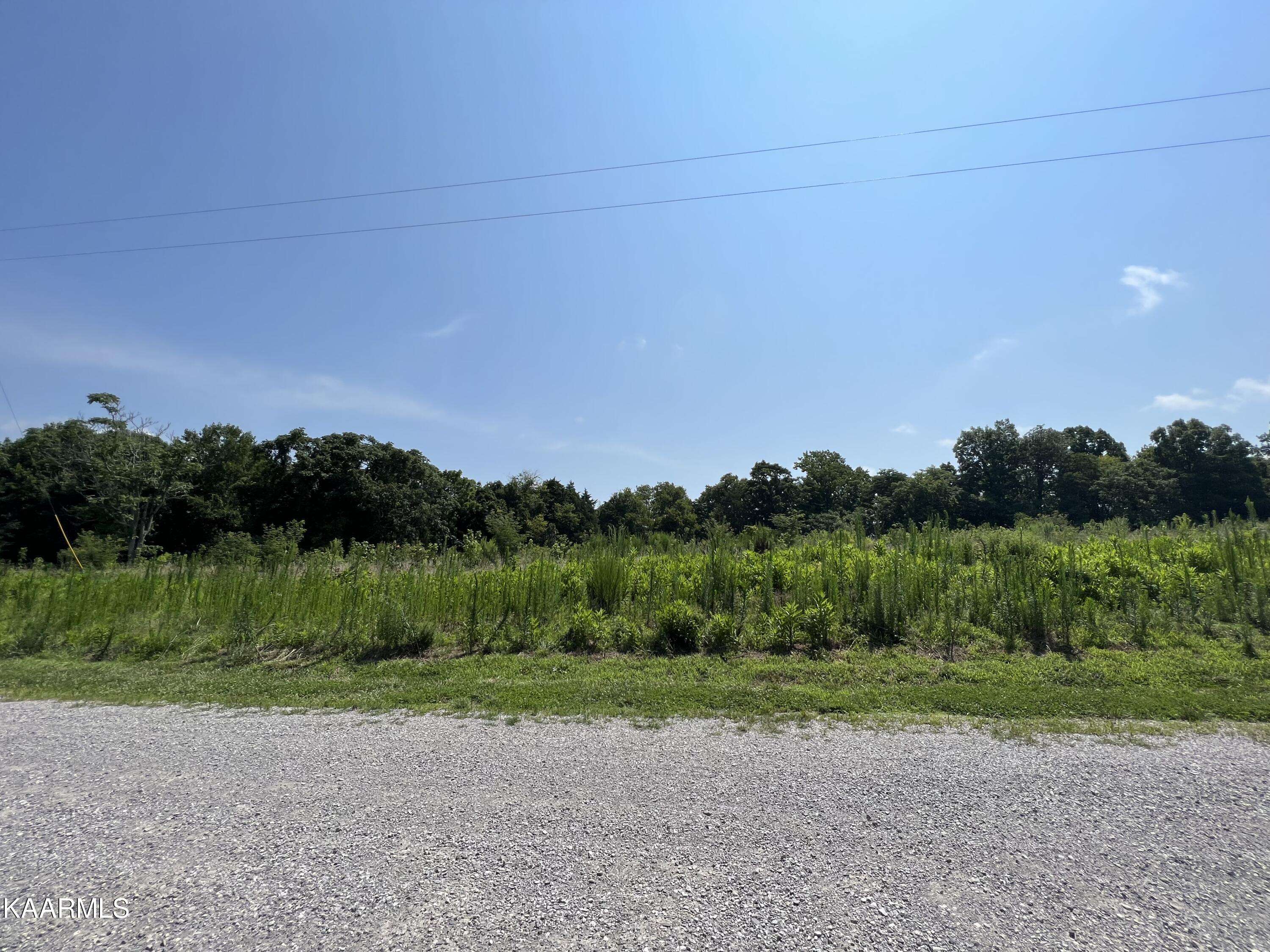 Baxter, TN 38544,Lot 30 Lake Bluff Rd