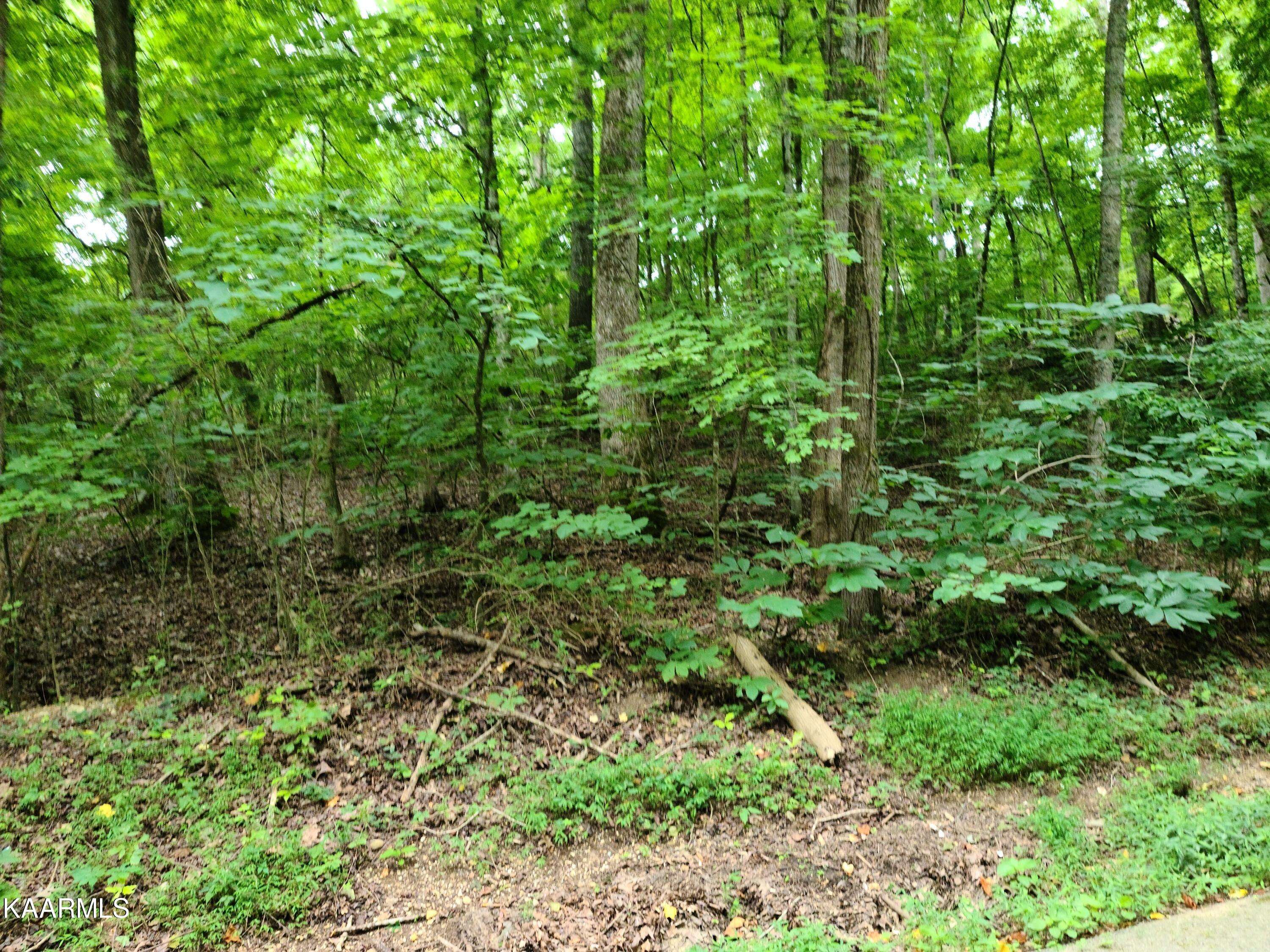 Kingston, TN 37763,Lot 54 Shady Shore LN