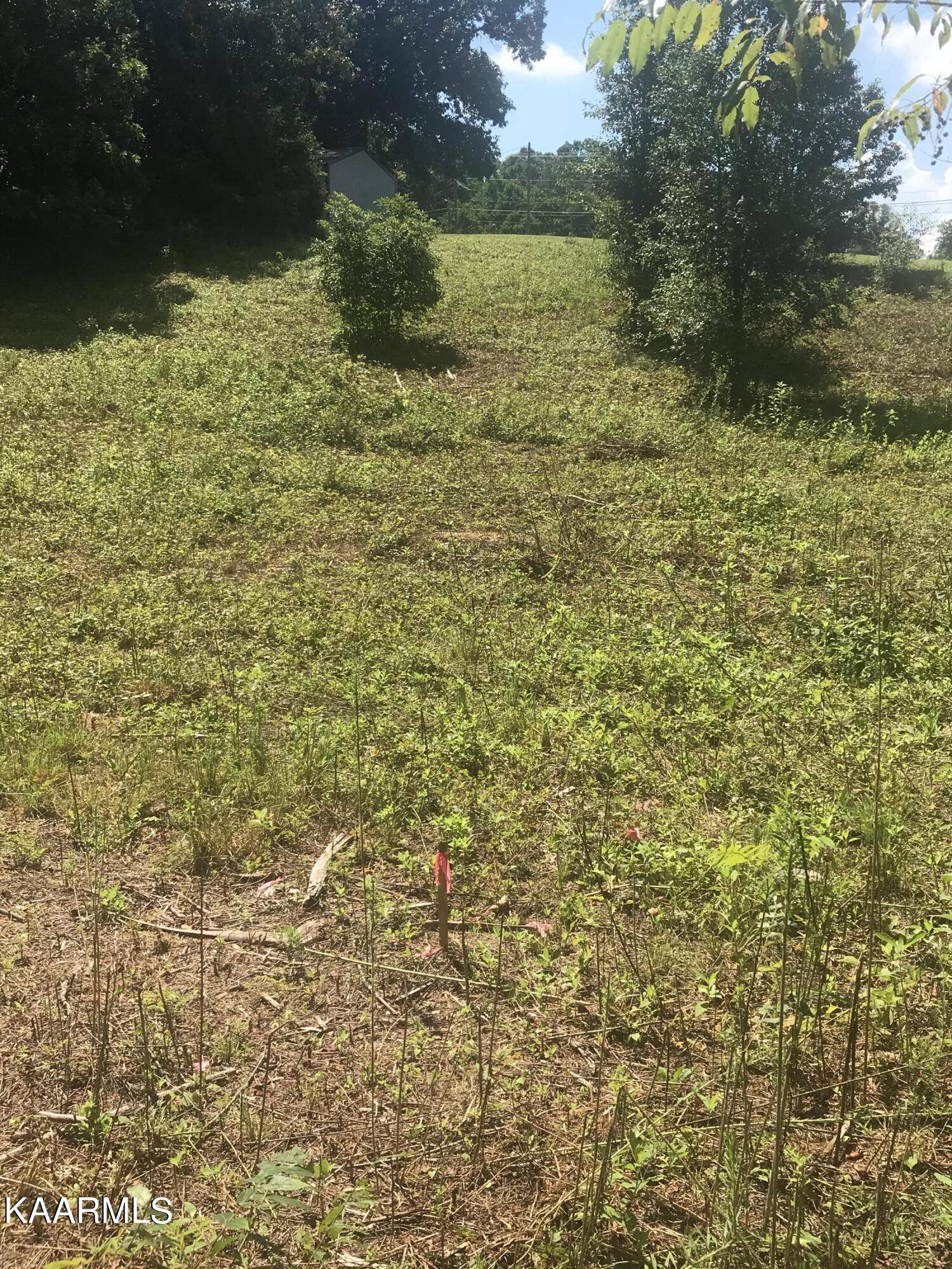 Kodak, TN 37764,Lot 3R Piney Rd Rd