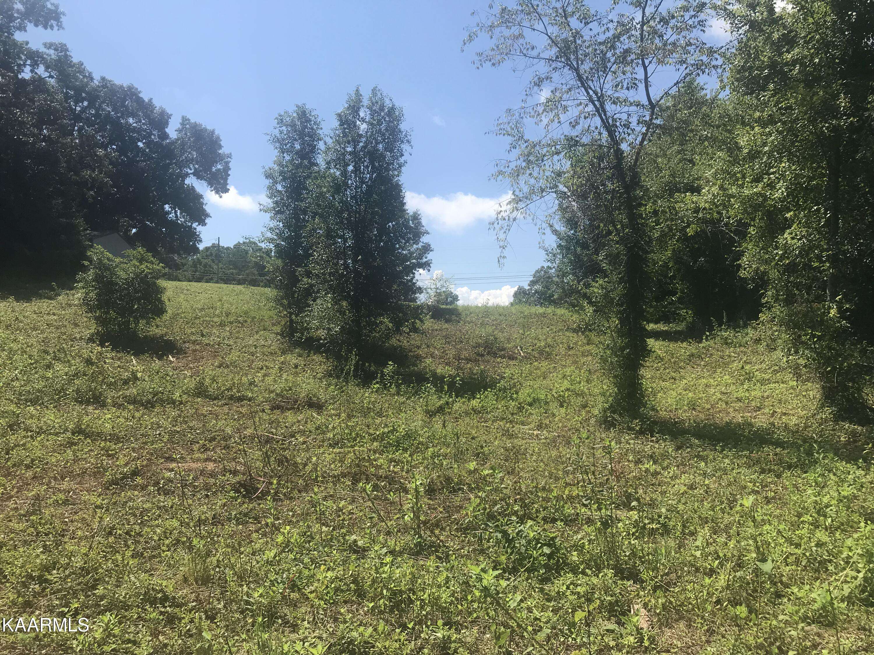 Kodak, TN 37764,Lot 3R Piney Rd Rd