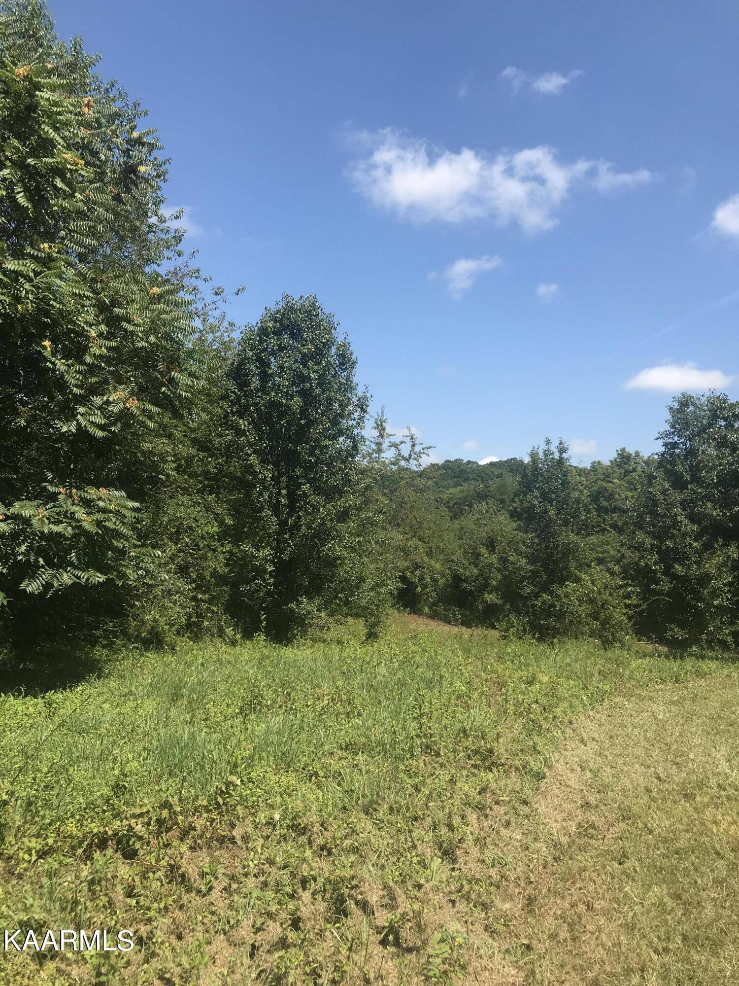 Kodak, TN 37764,Lot 3R Piney Rd Rd