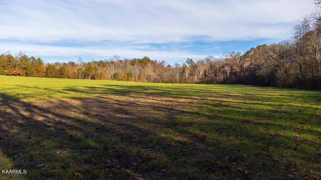 Calhoun, TN 37309,31.52 acre Athens Road