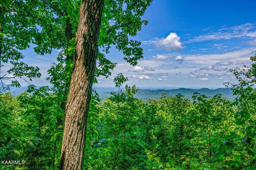 Sevierville, TN 37876,1949 Orchard View DR