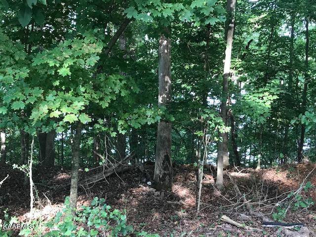 Kingston, TN 37763,Lot 31 Lakeshore Vista DR