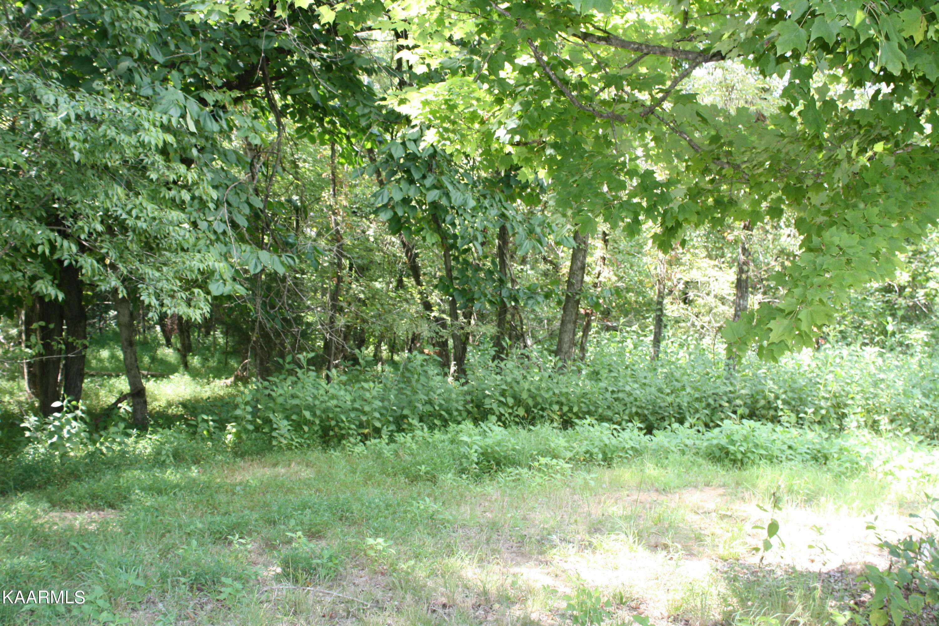 Dandridge, TN 37725,Deer Chase Trail