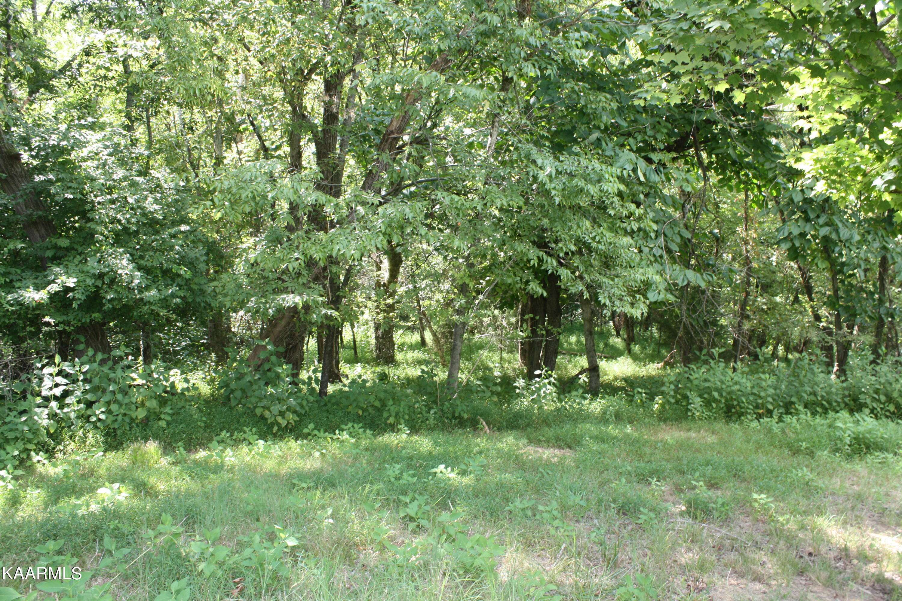 Dandridge, TN 37725,Deer Chase Trail