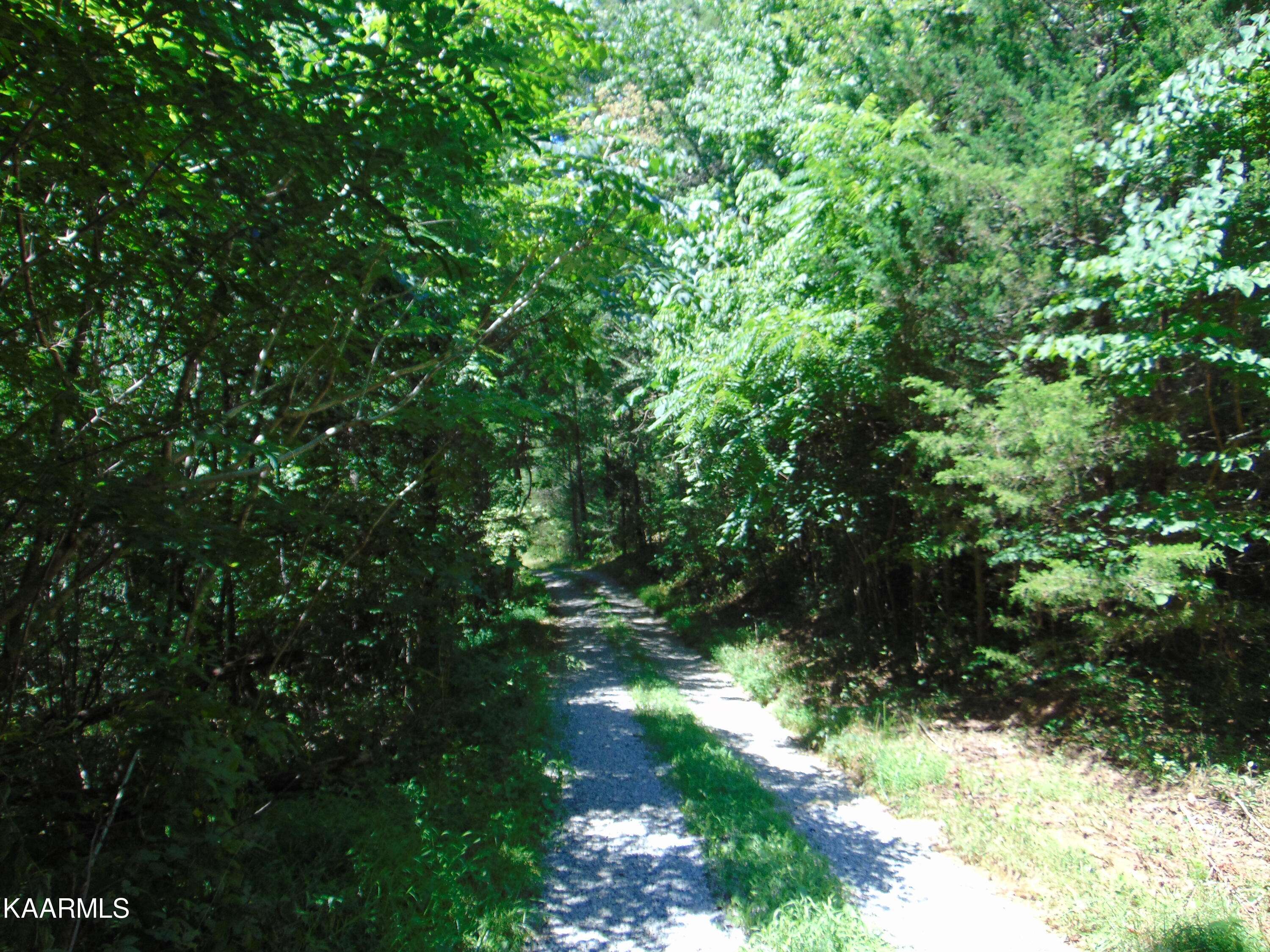 Madisonville, TN 37354,12.32 acre Mason Hollow Road