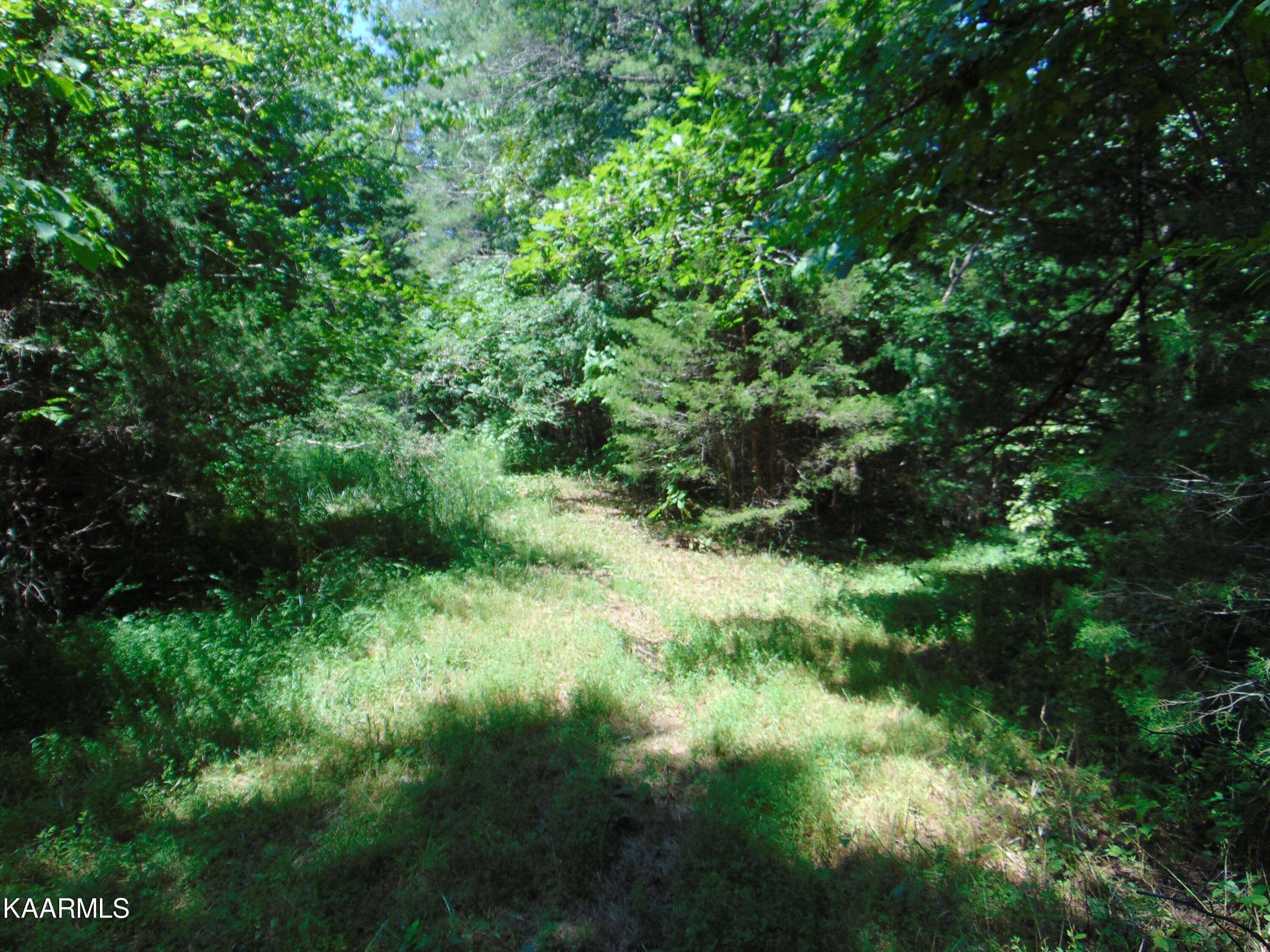 Madisonville, TN 37354,12.32 acre Mason Hollow Road