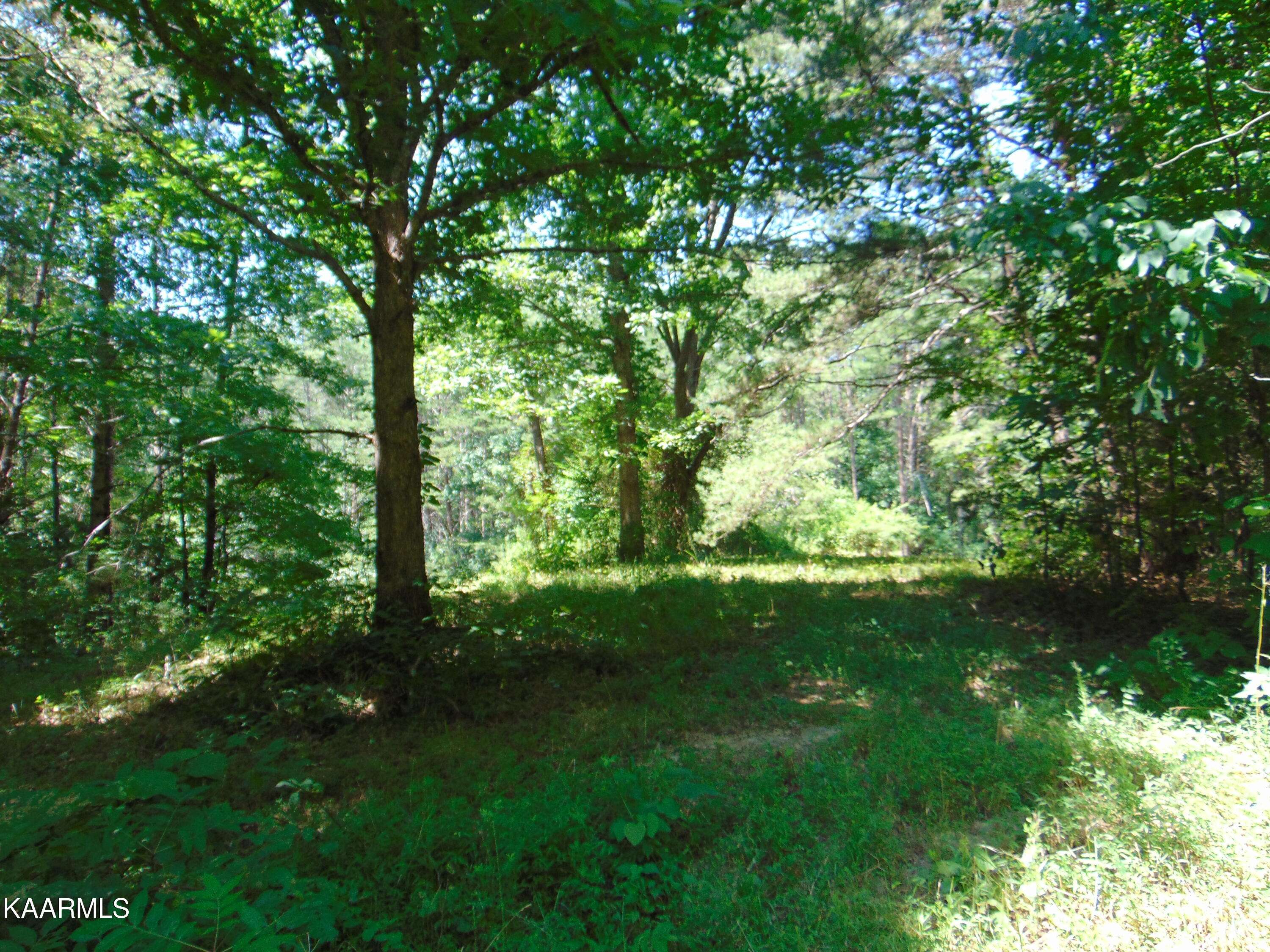 Madisonville, TN 37354,12.32 acre Mason Hollow Road