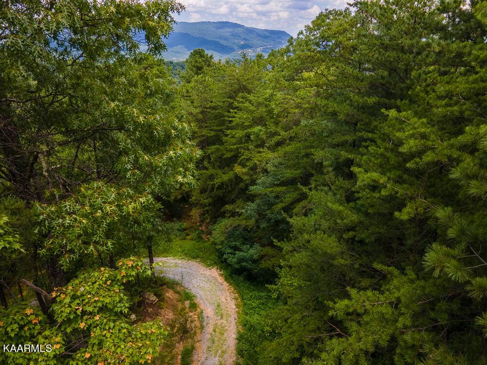 Sevierville, TN 37862,Lot 5 Overholt Trail