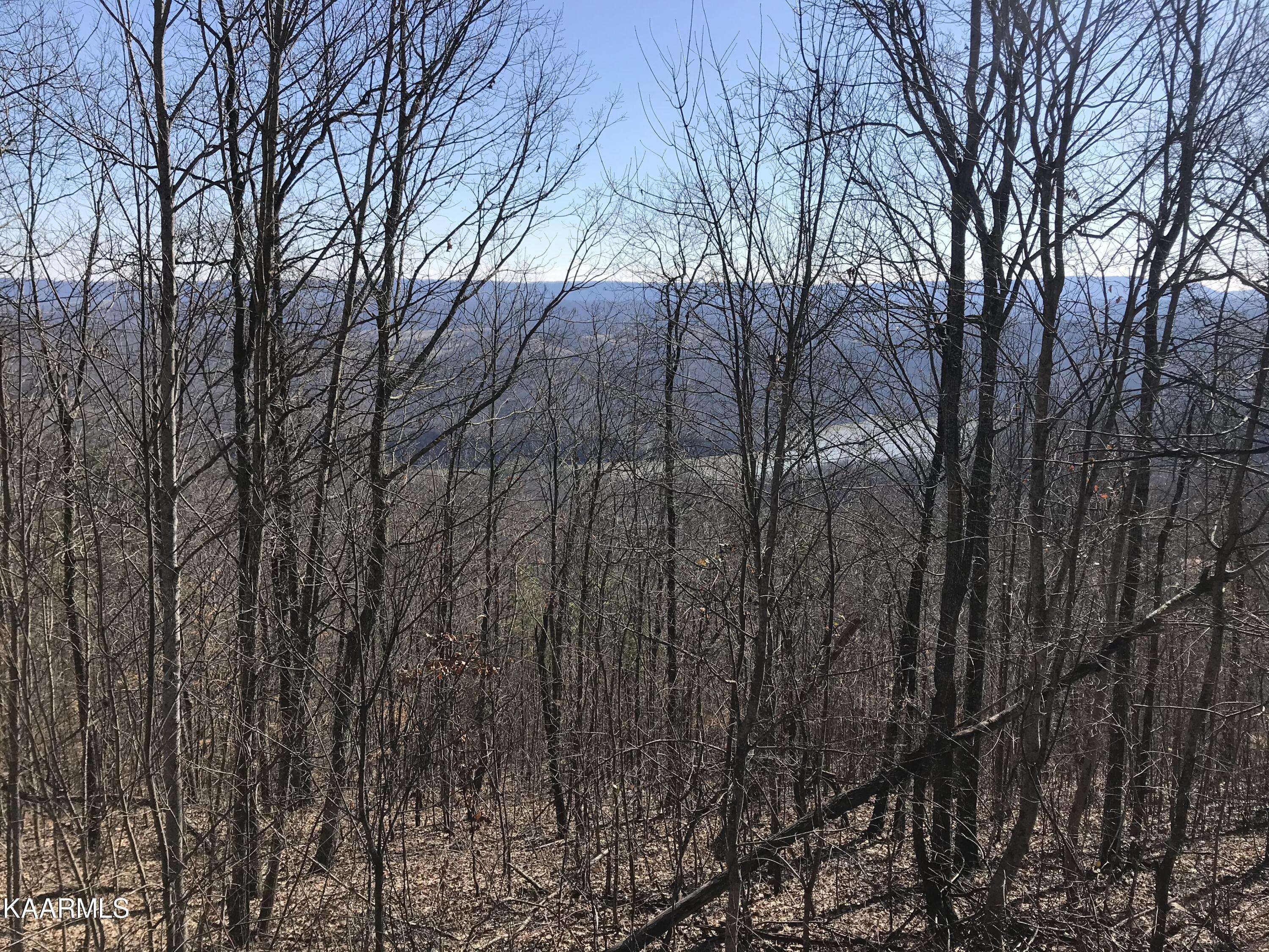 New Tazewell, TN 37825,Lot 193 Clinch View Rd