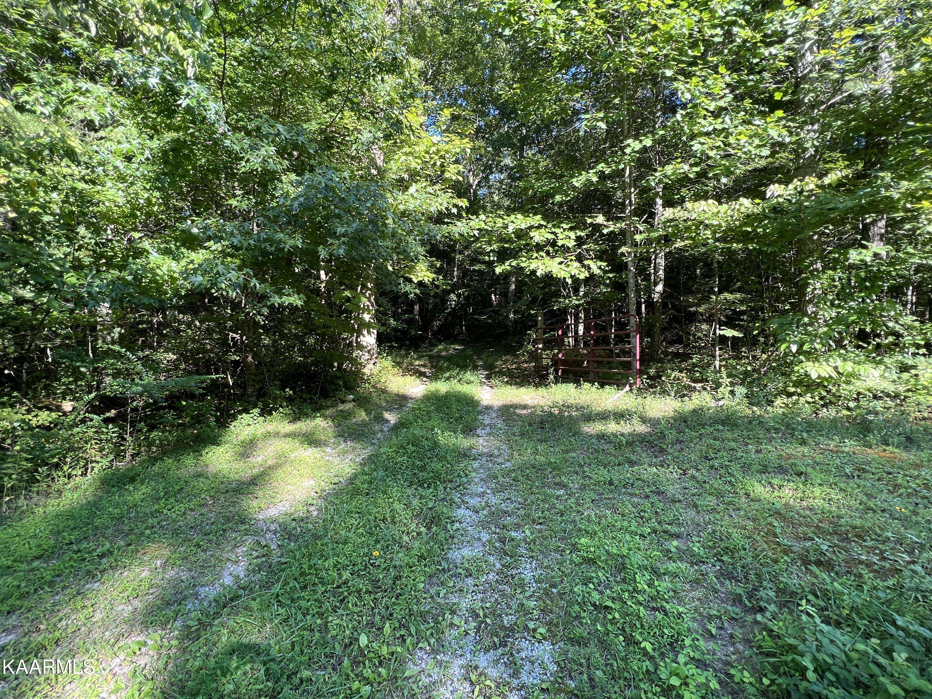 Oneida, TN 37841,Bear Hollow Rd