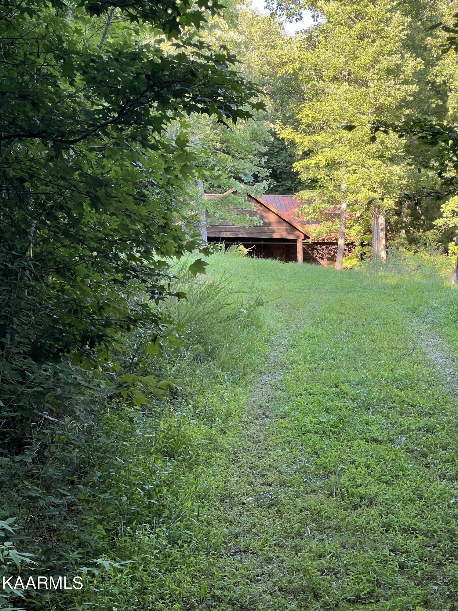 Oneida, TN 37841,Bear Hollow Rd