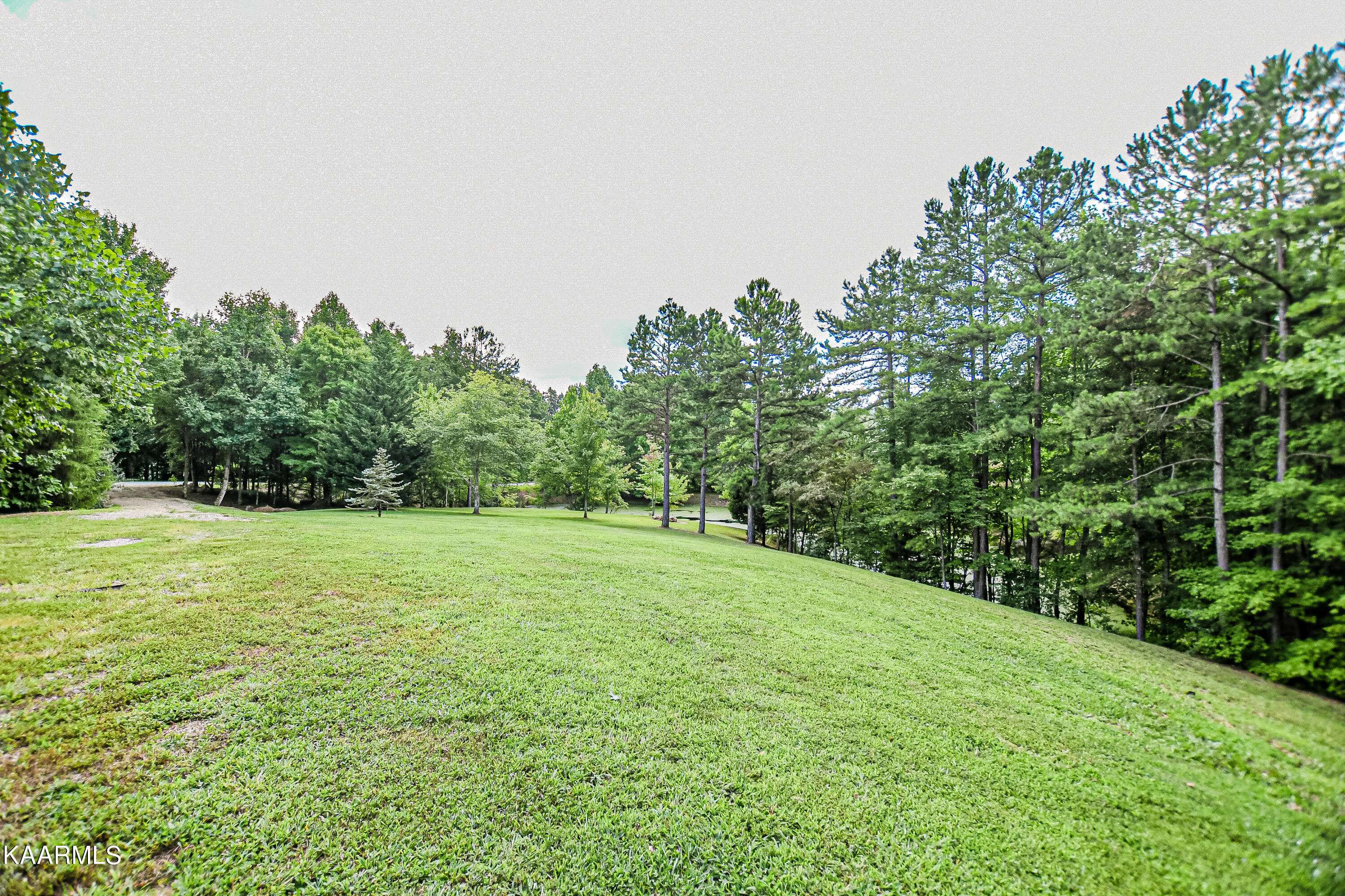 Pioneer, TN 37847,Racoon LN