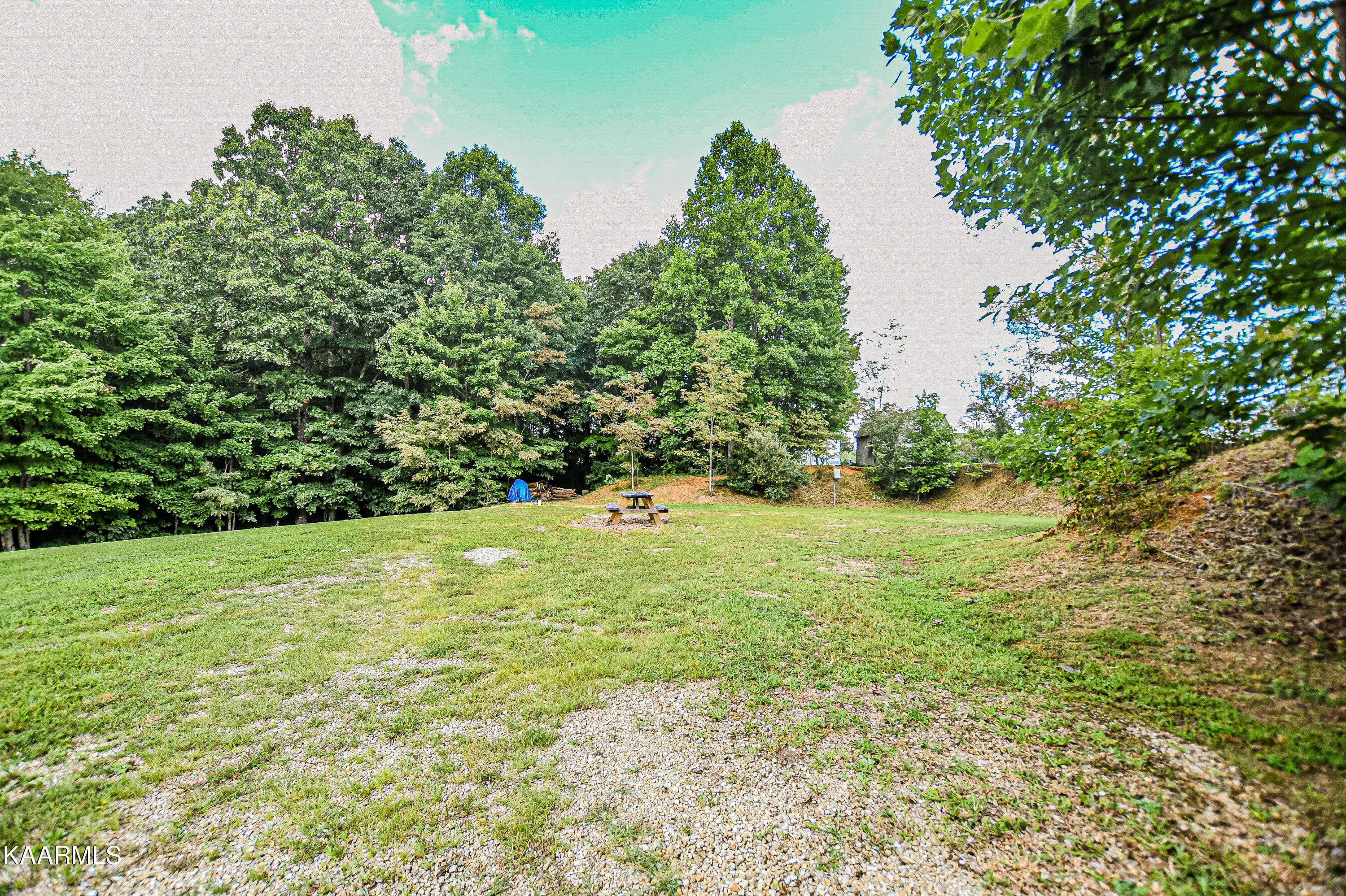 Pioneer, TN 37847,Racoon LN