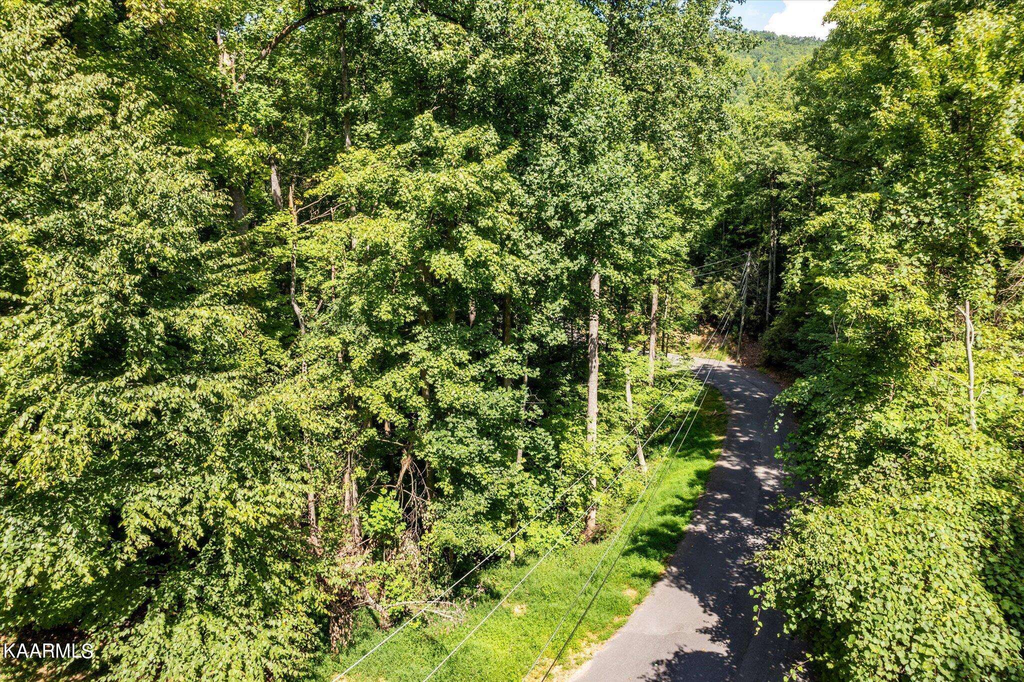 Gatlinburg, TN 37738,Lot 19 Thissa Way