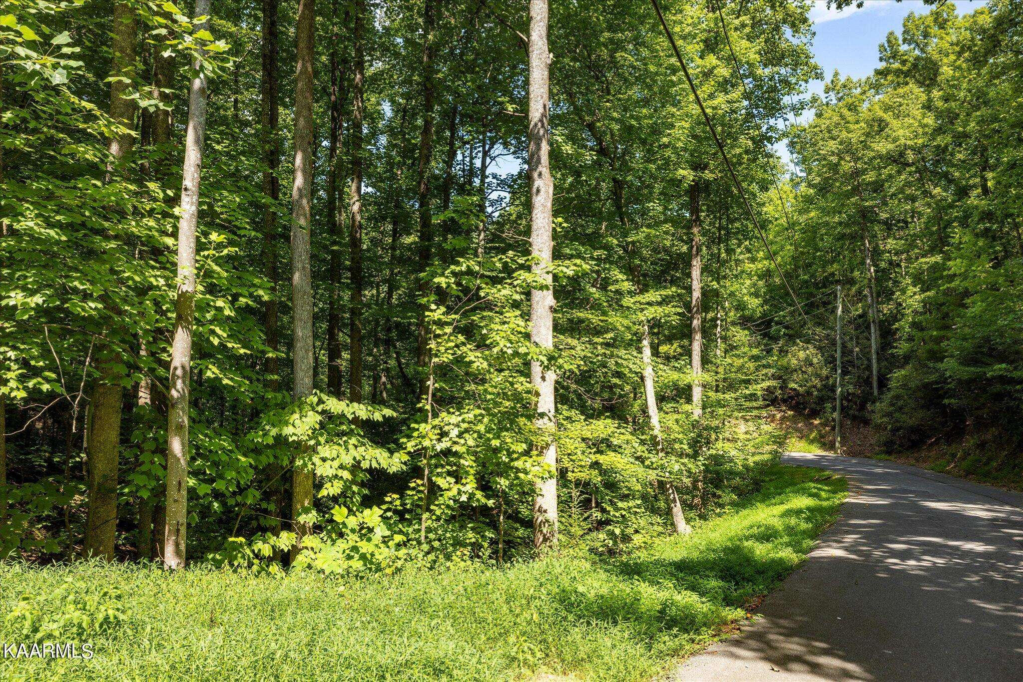 Gatlinburg, TN 37738,Lot 19 Thissa Way