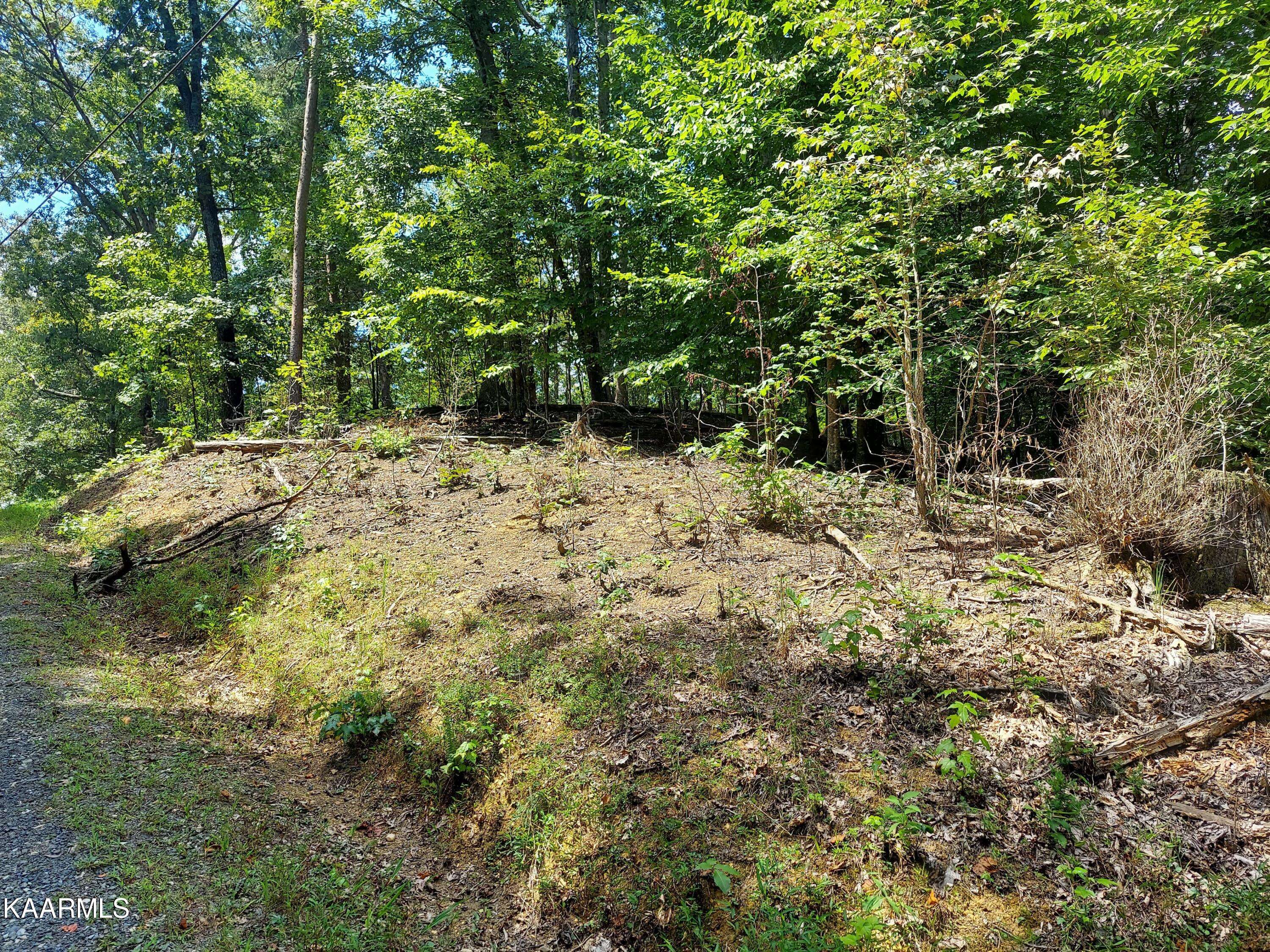 Baneberry, TN 37890,Lot 875 Tyler Court