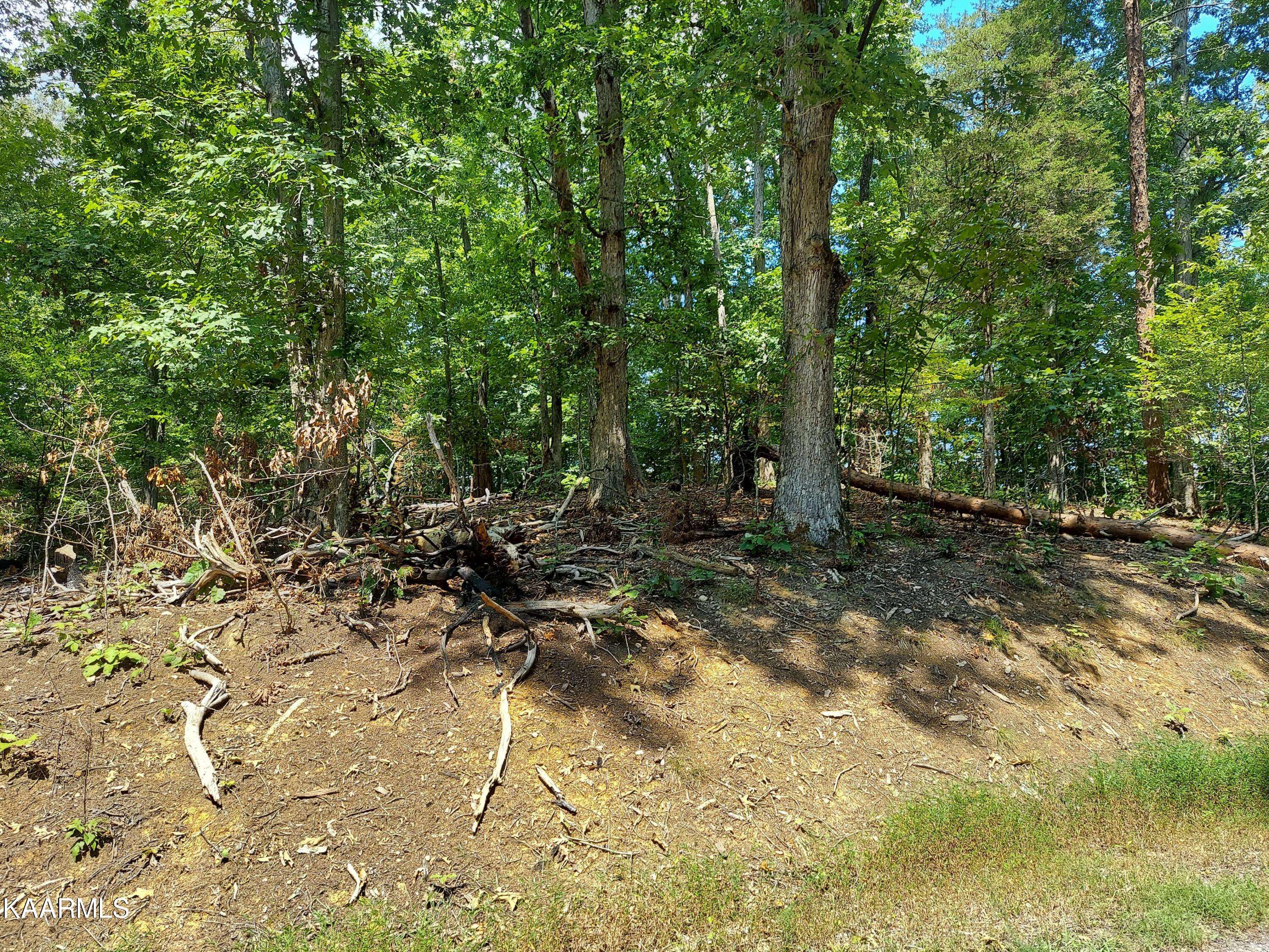 Baneberry, TN 37890,Lot 875 Tyler Court