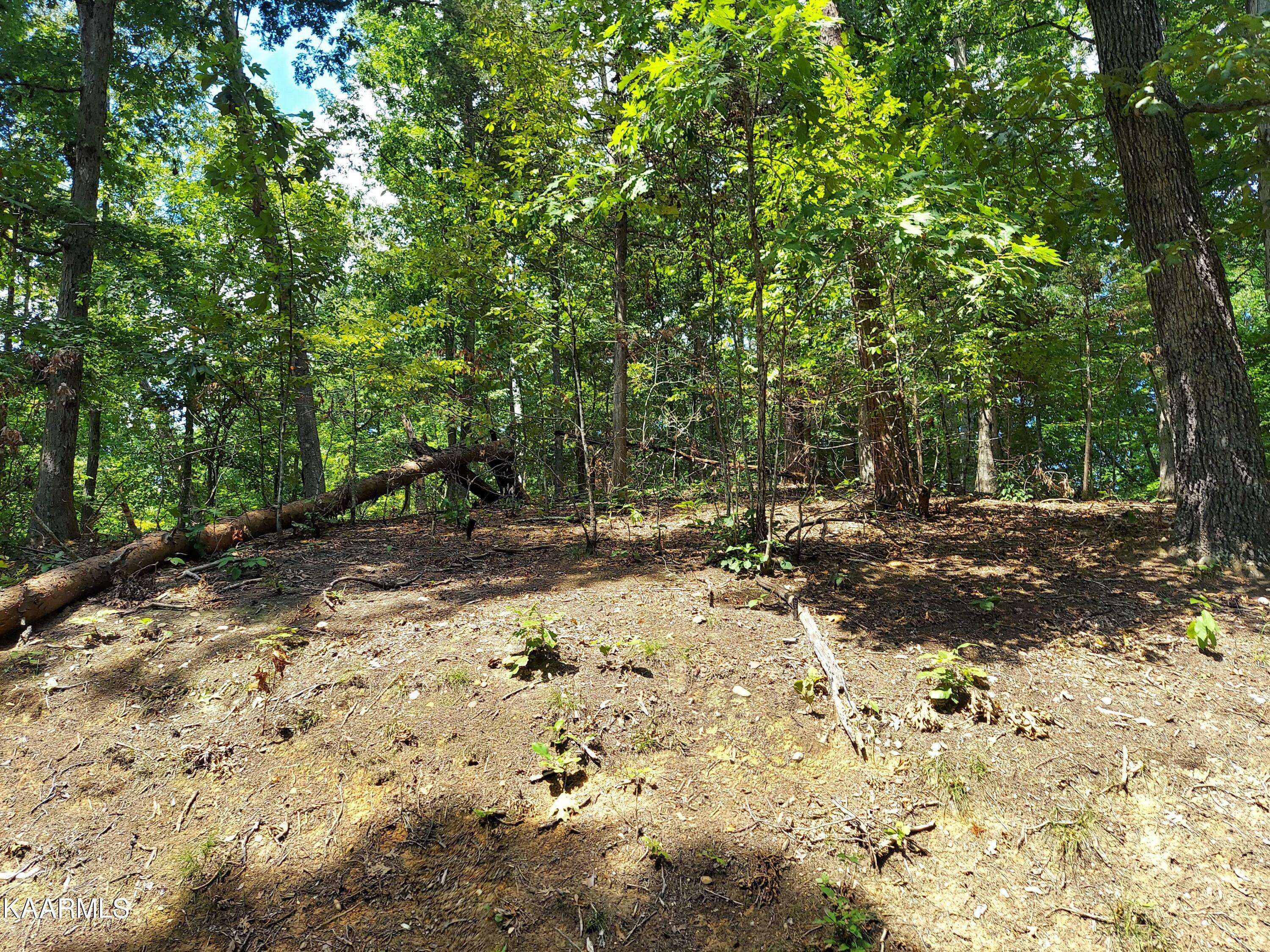 Baneberry, TN 37890,Lot 875 Tyler Court