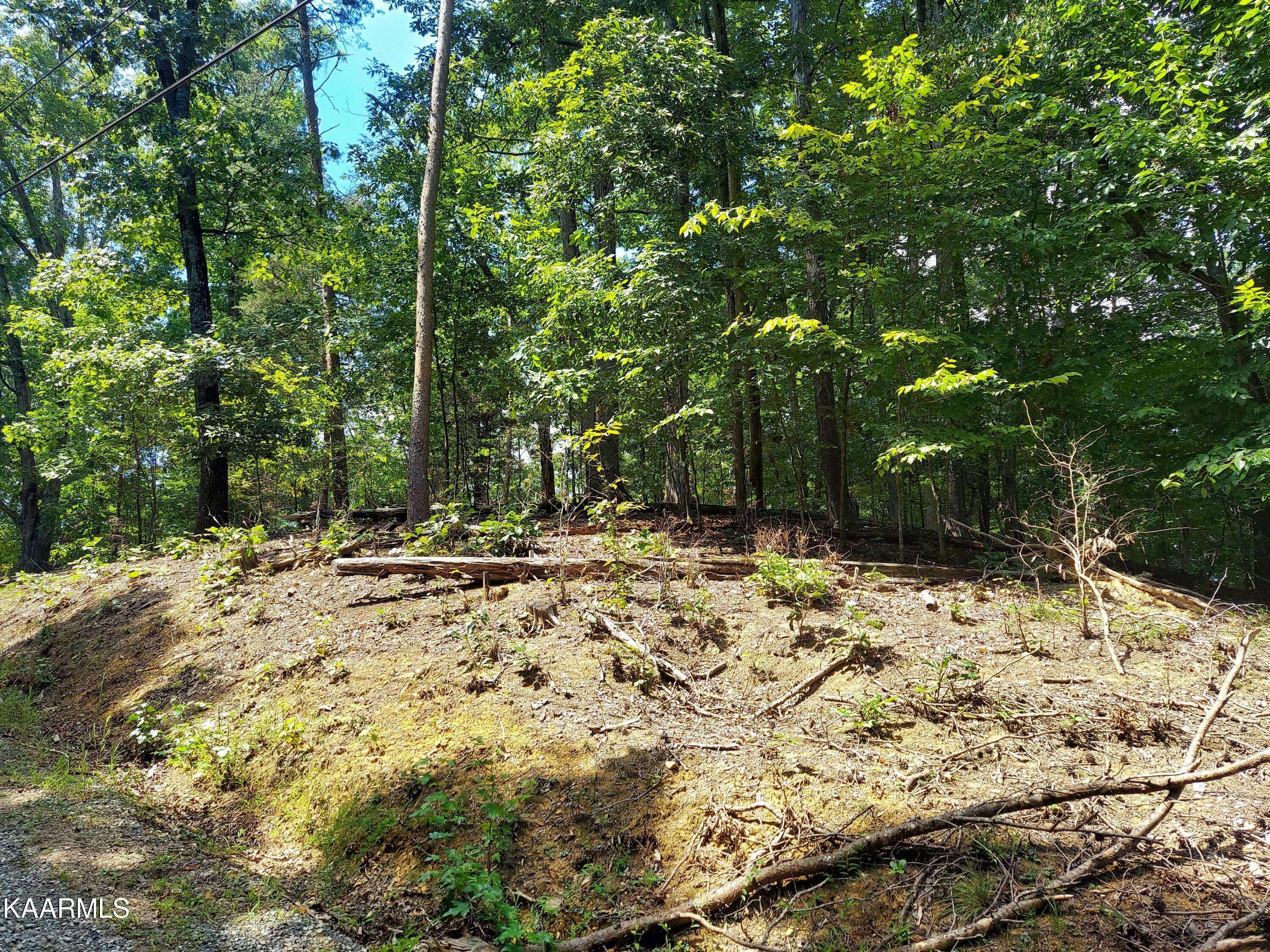 Baneberry, TN 37890,Lot 875 Tyler Court