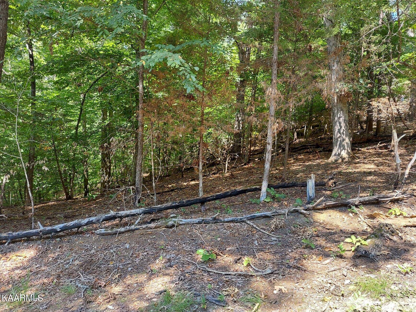 Baneberry, TN 37890,Lot 876 Stoneway Place