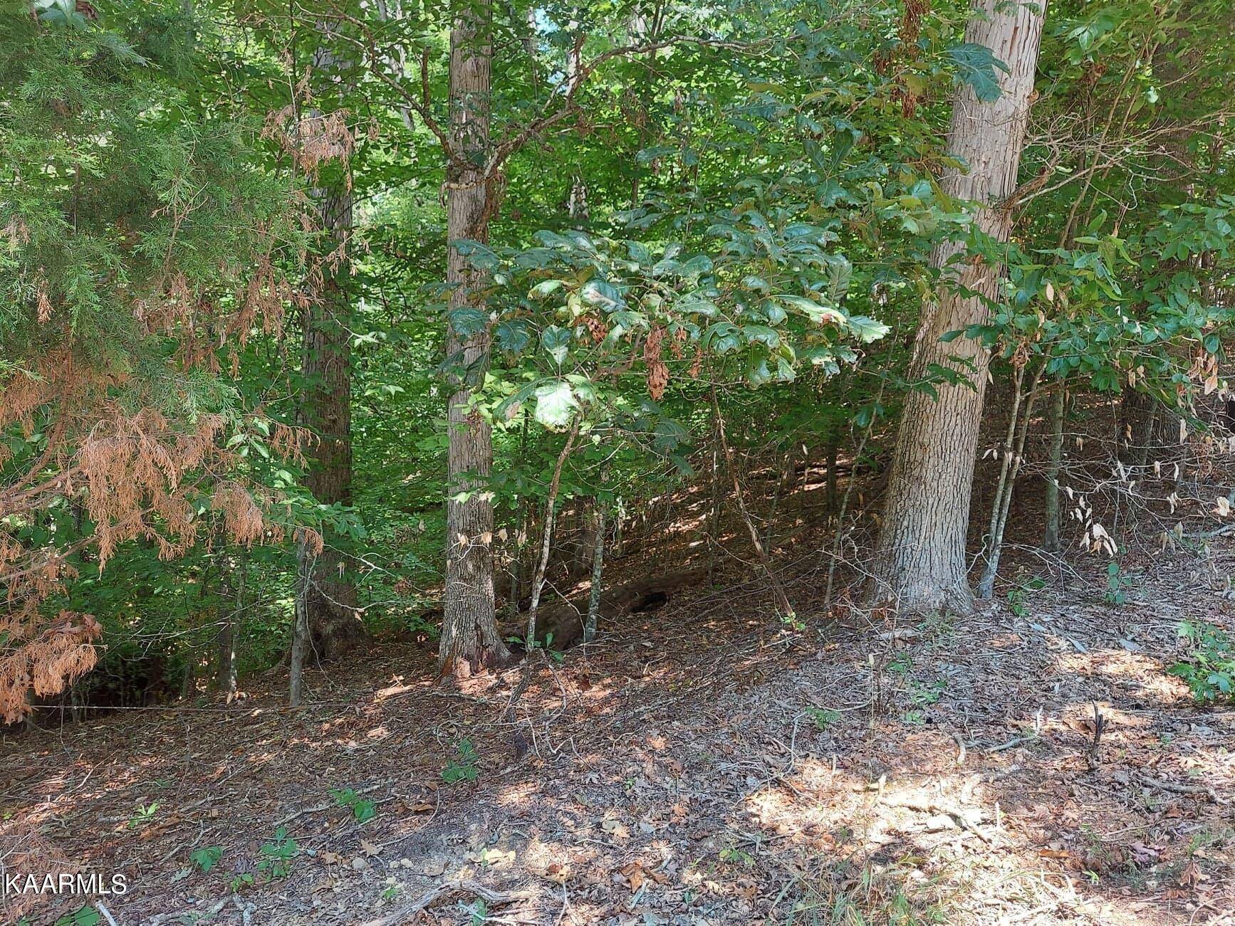 Baneberry, TN 37890,Lot 876 Stoneway Place