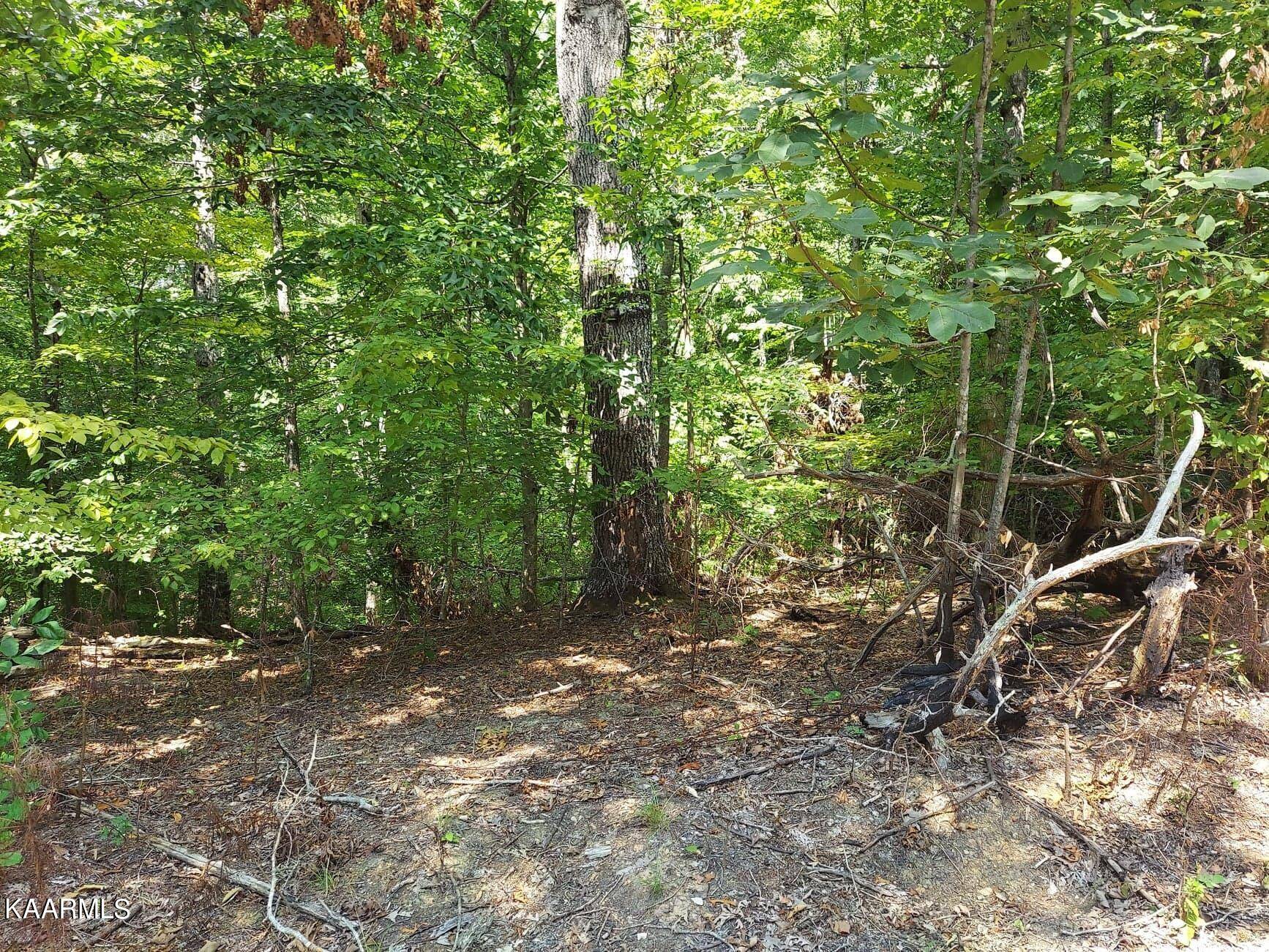 Baneberry, TN 37890,Lot 877 Stoneway Place