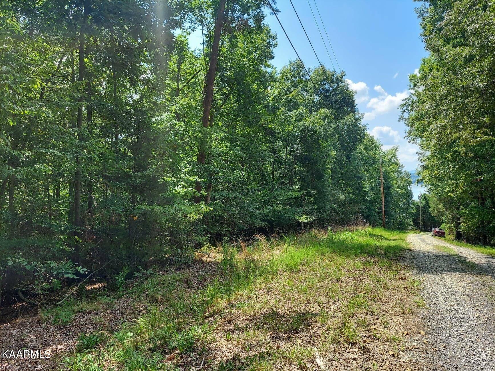 Baneberry, TN 37890,Lot 888 Stoneway Place