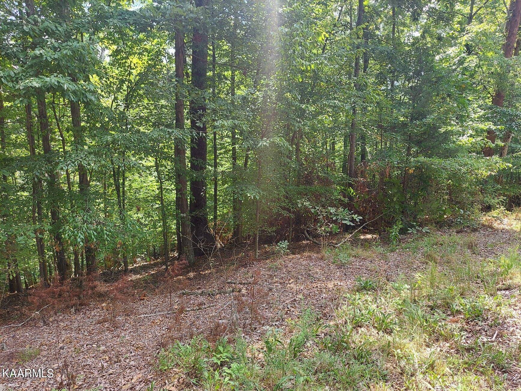 Baneberry, TN 37890,Lot 888 Stoneway Place