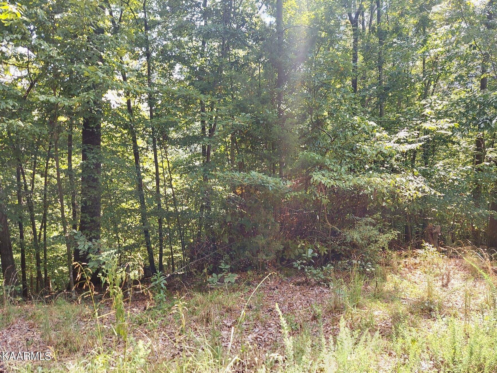 Baneberry, TN 37890,Lot 887 Stoneway Place