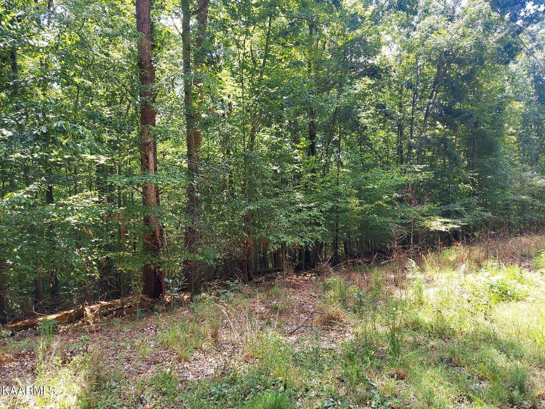 Baneberry, TN 37890,Lt 885-888 Stoneway Place