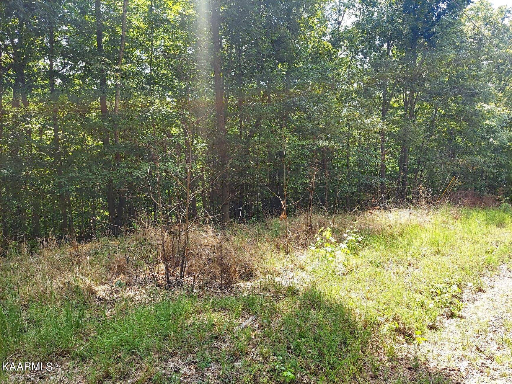 Baneberry, TN 37890,Lot 886 Stoneway Place