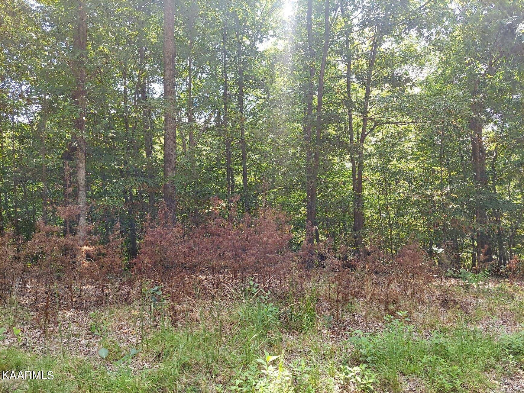 Baneberry, TN 37890,Lot 886 Stoneway Place