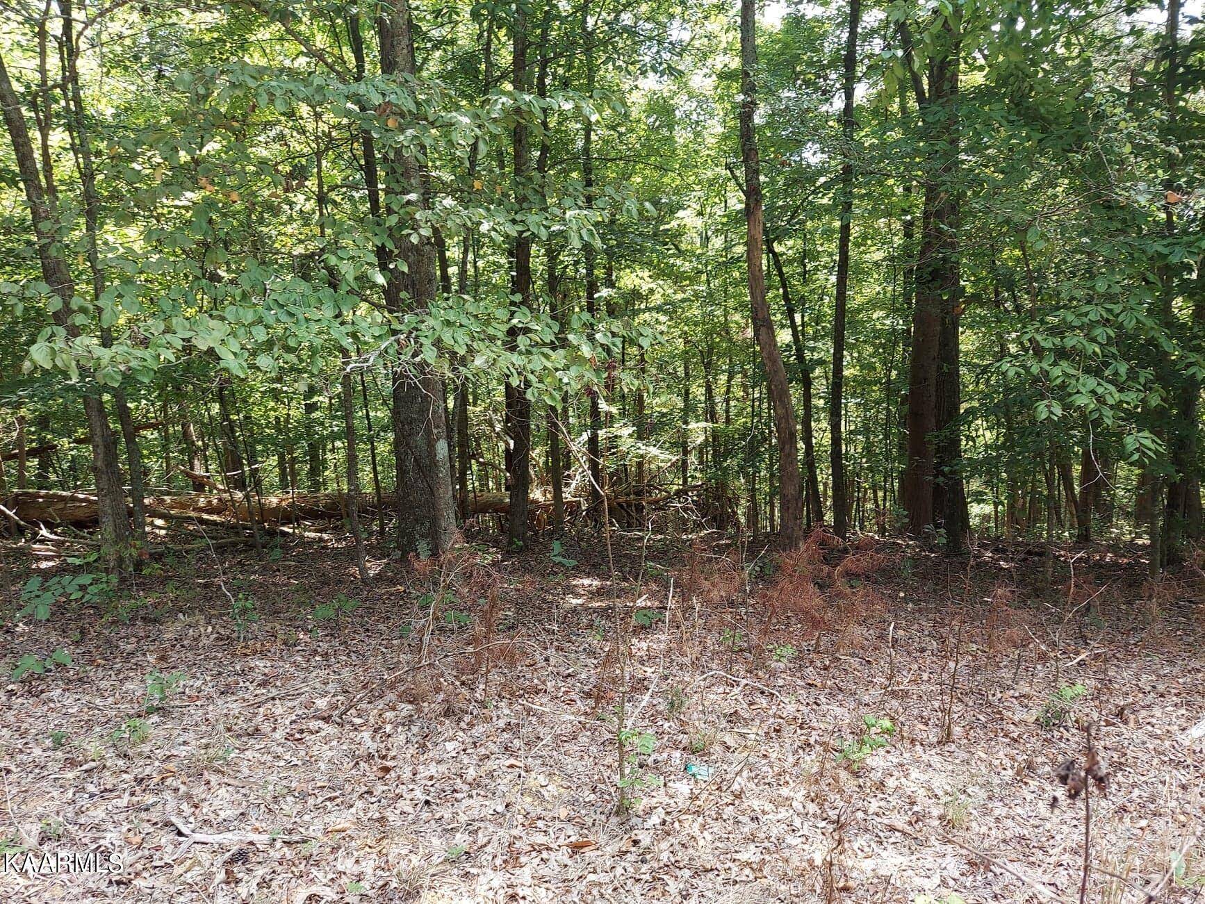 Baneberry, TN 37890,Lot 885 Stoneway Place