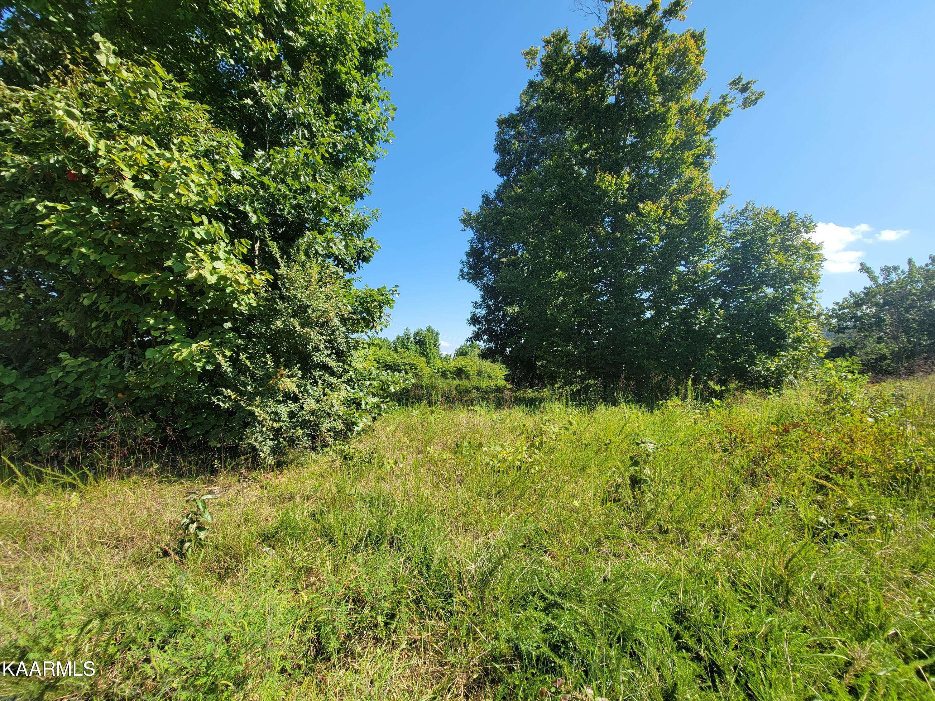 Maynardville, TN 37807,Lot 25&26 Panoramic DR