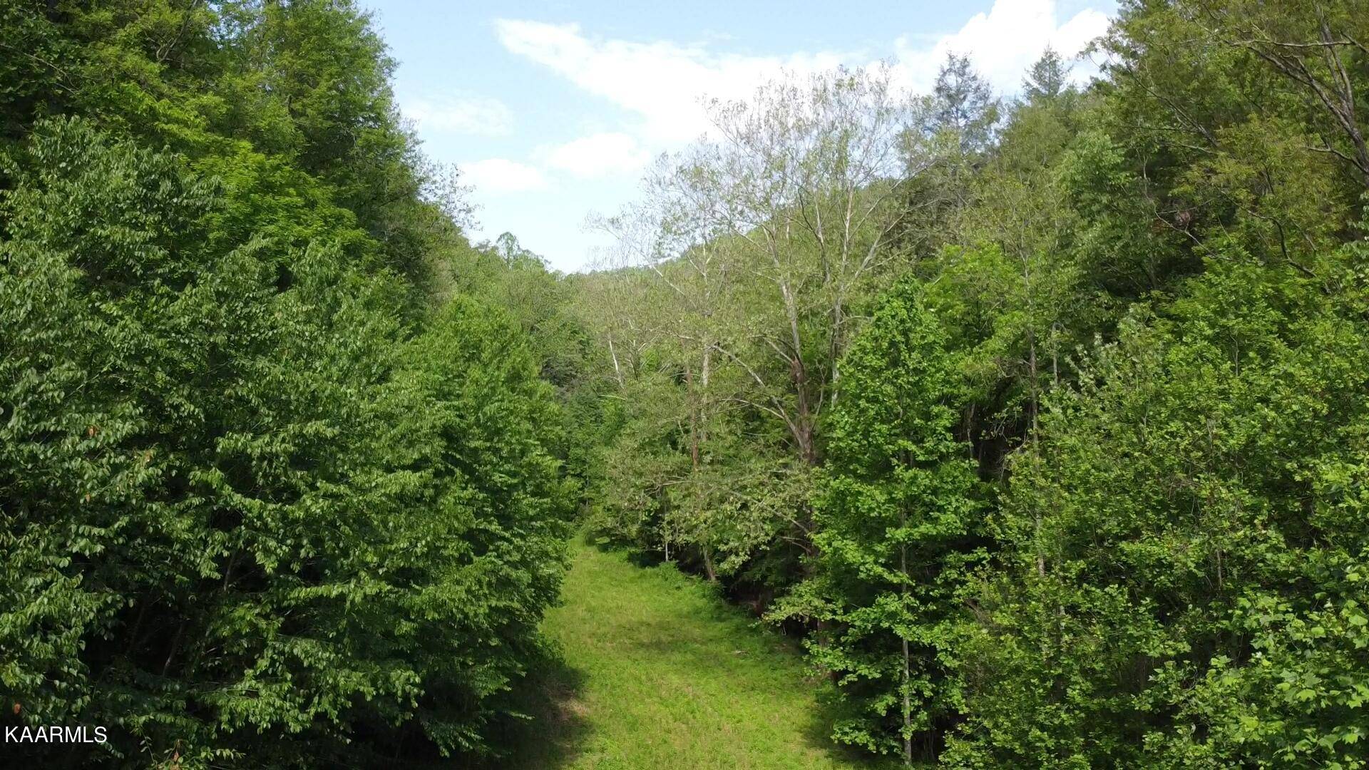 Townsend, TN 37882,1976 Carrs Creek +/- 22.87 acres Rd