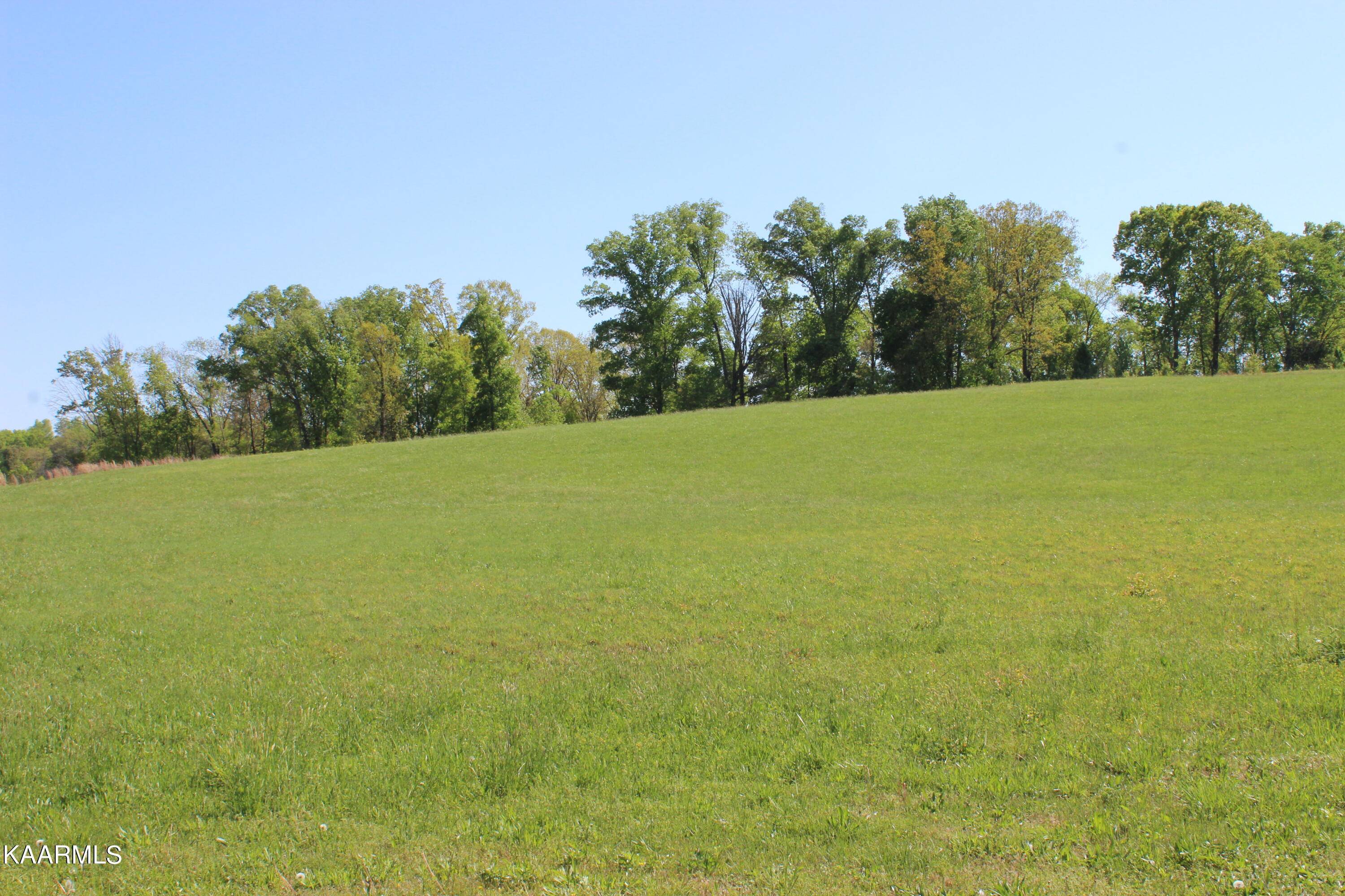 Madisonville, TN 37354,Lot 23 Wilshaw CT