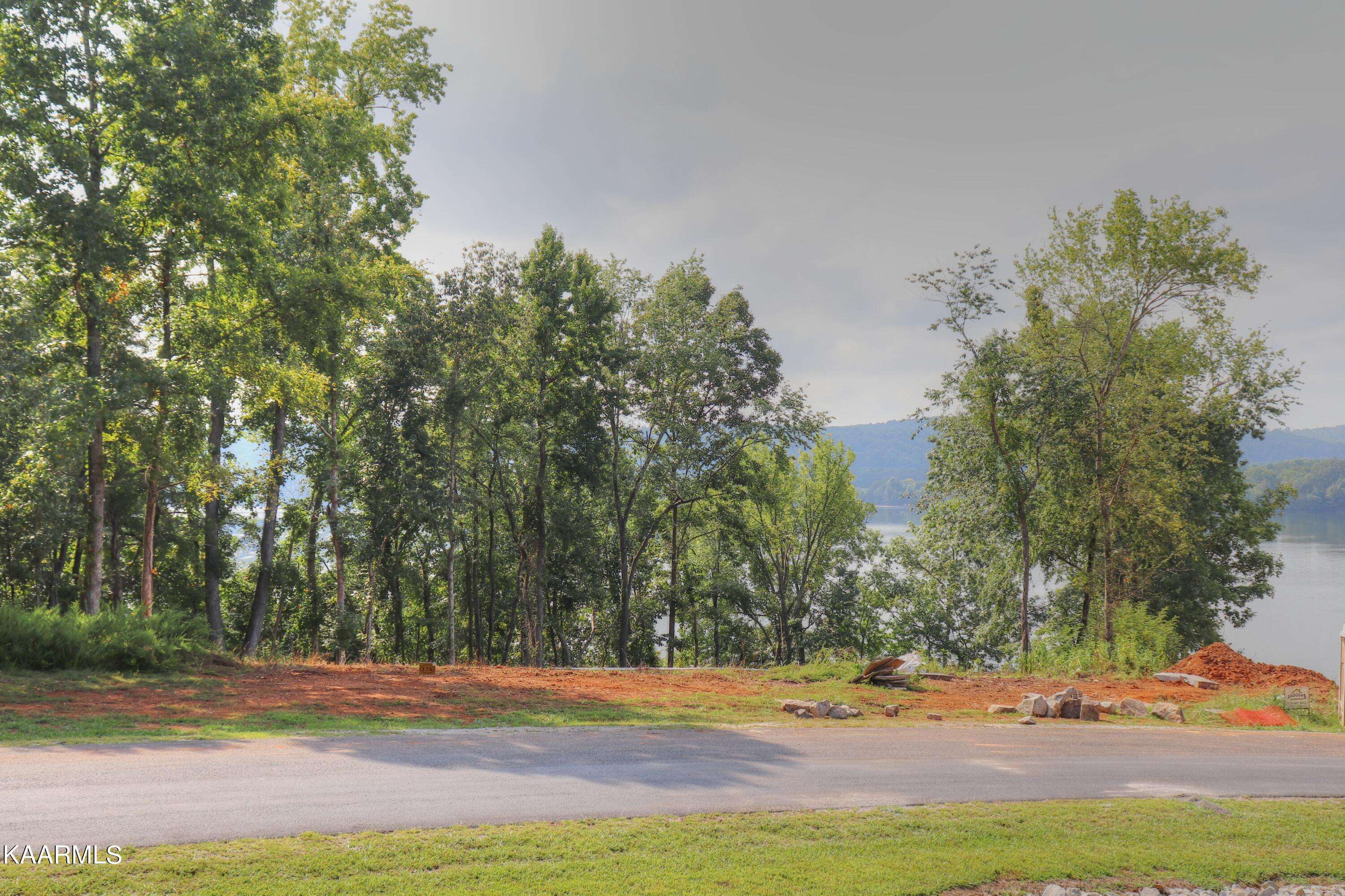 Rockwood, TN 37854,Lot 202 Shore DR