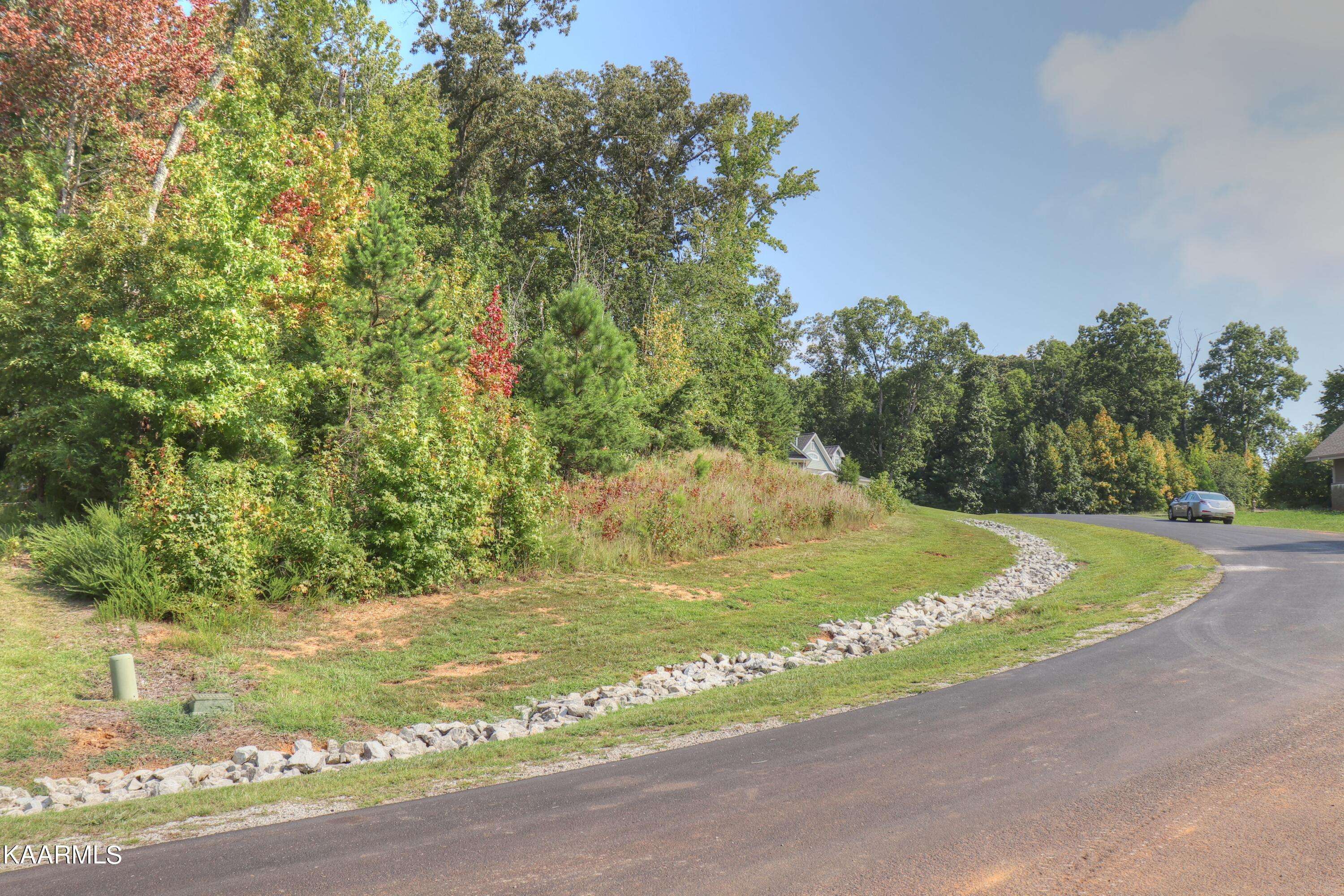 Rockwood, TN 37854,Lot 202 Shore DR